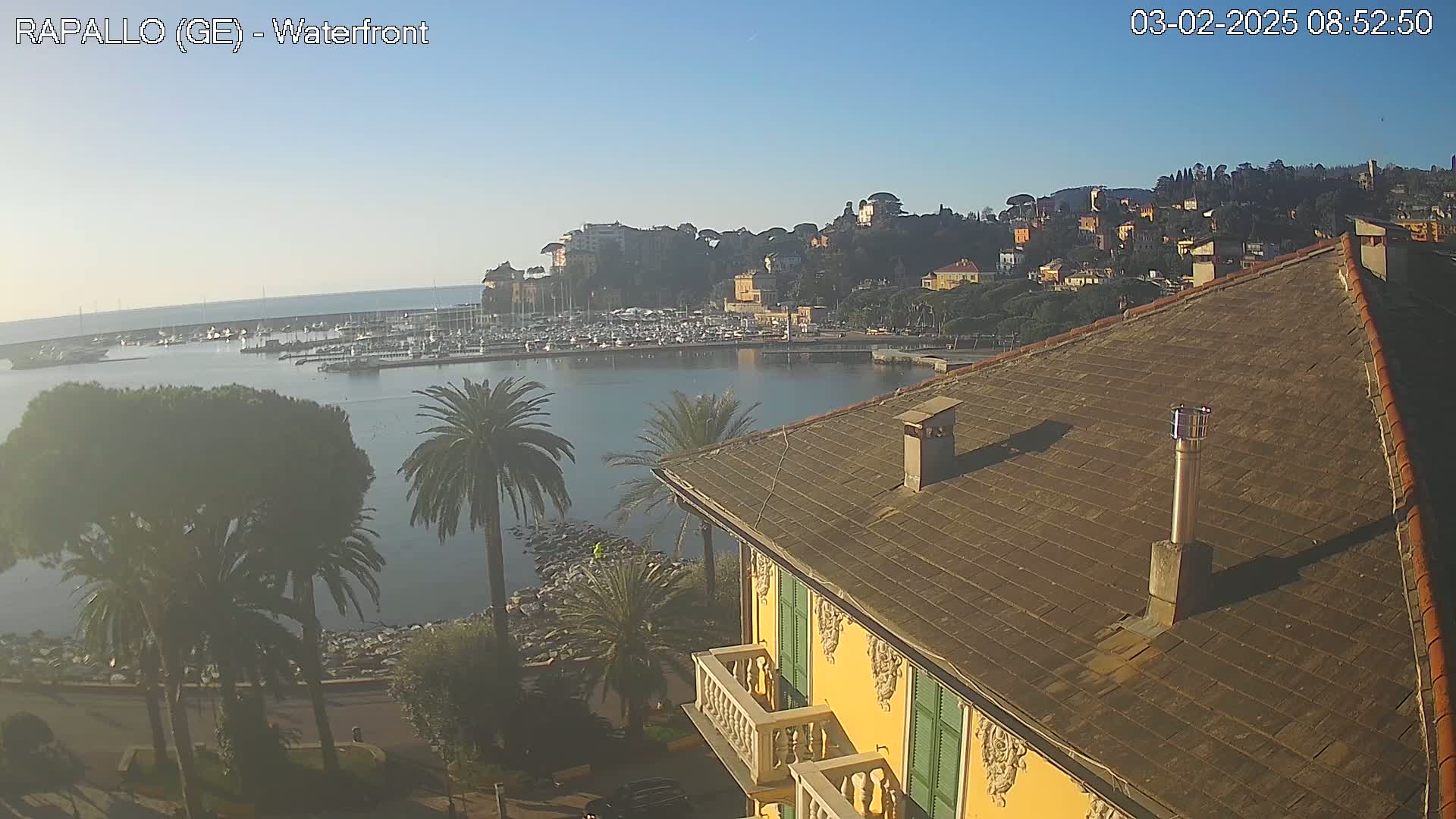A waterfront view of a harbor filled with boats, a hillside town, and palm trees under a clear blue sky, seen from a yellow building's rooftop.