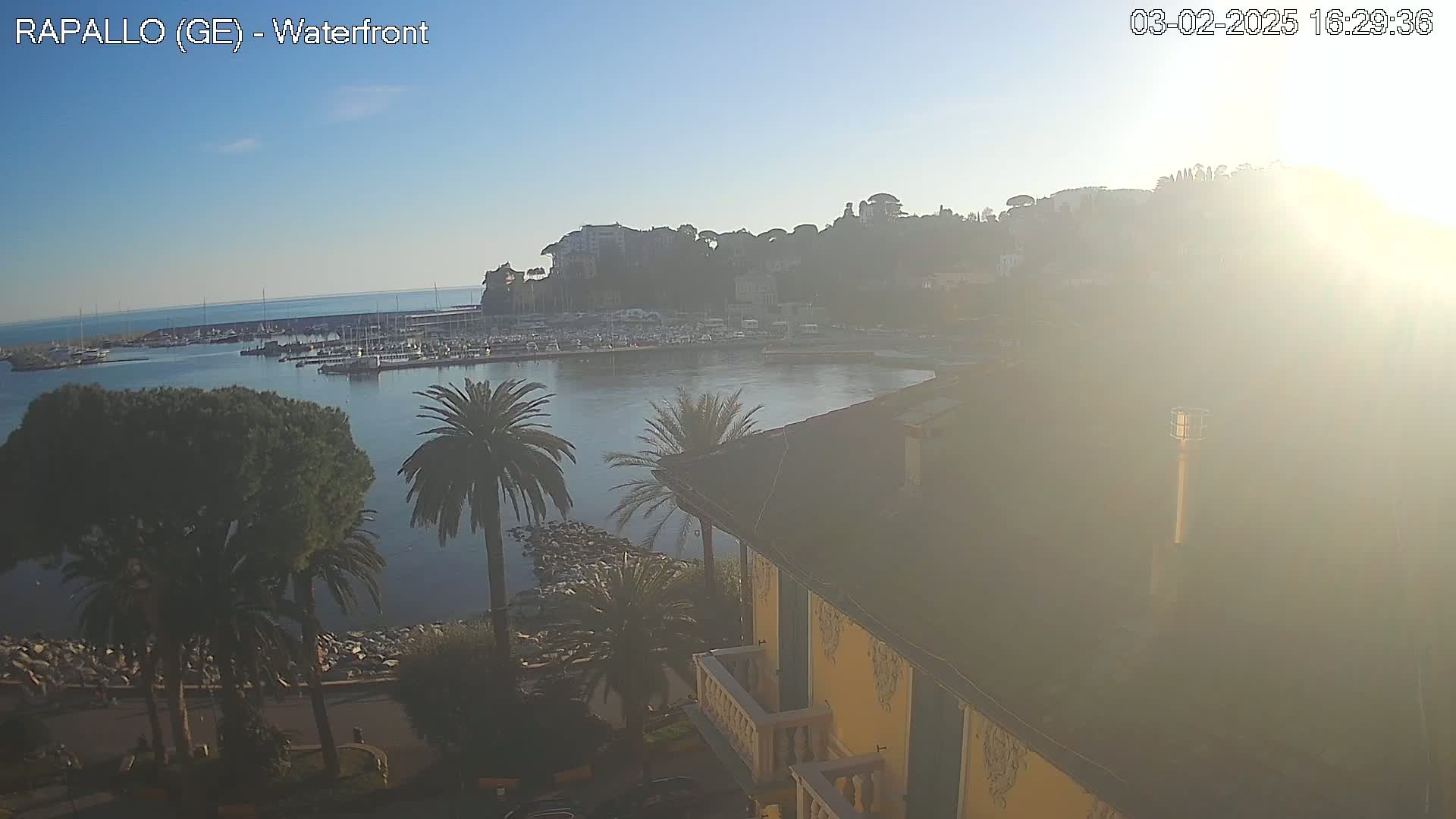 A hazy sun shines over a harbor filled with boats, backed by a hillside town, as seen from an elevated vantage point overlooking palm trees and a yellow building.