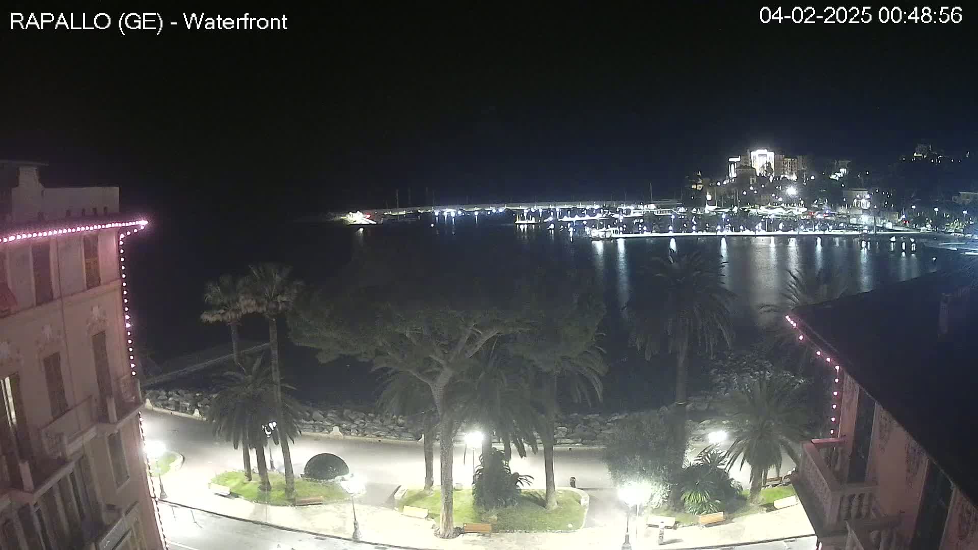 A nighttime view of a harbor, with a calm body of water reflecting lights from buildings and boats, and palm trees lining a waterfront promenade.