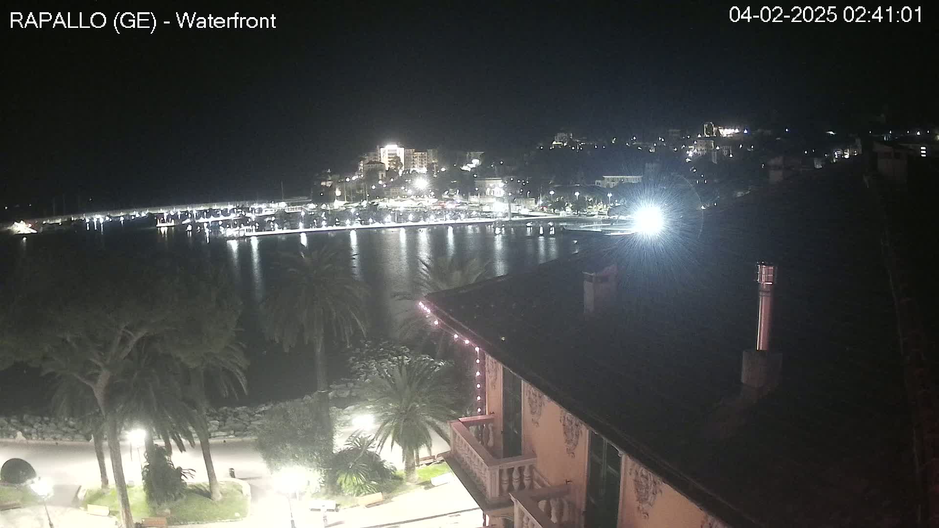 A nighttime view of a harbor with boats, lit buildings on a hillside, and palm trees along a waterfront promenade.