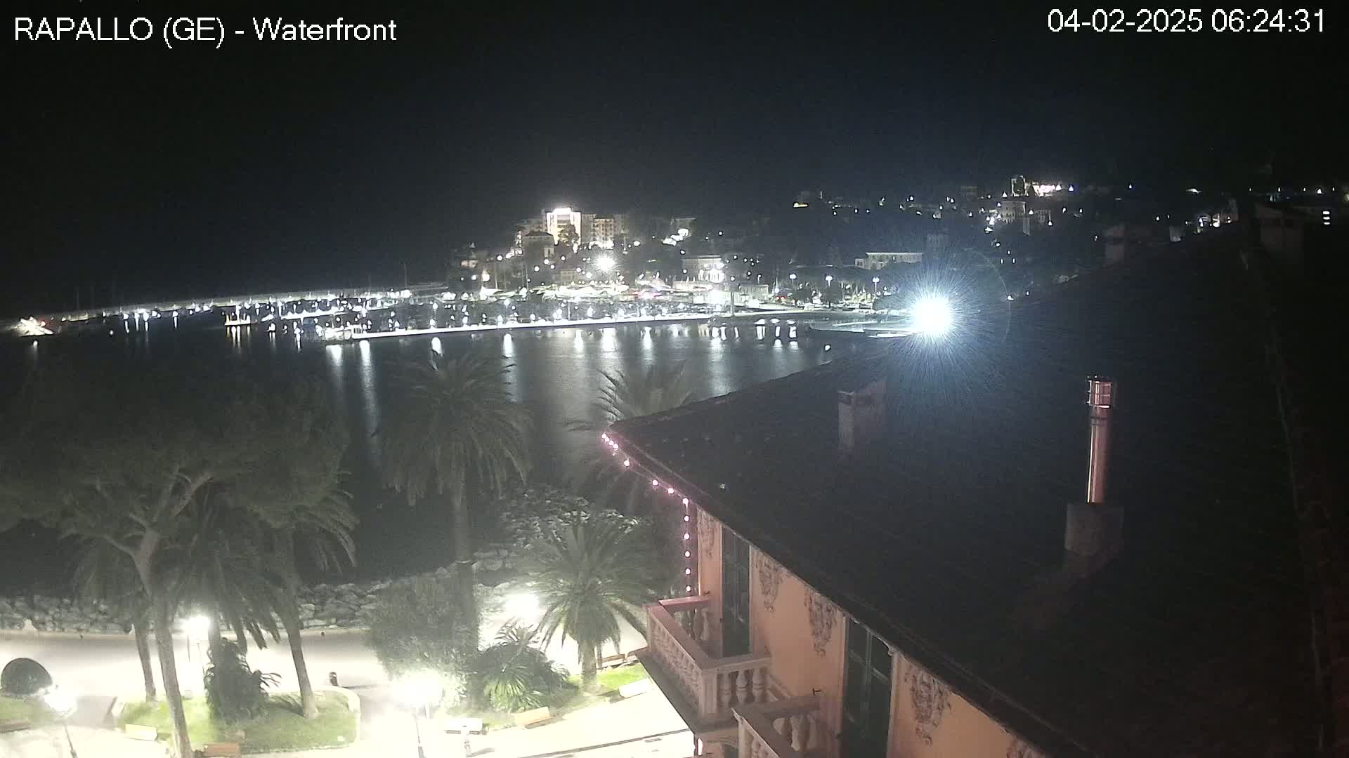 A nighttime view of a calm harbor, lined with boats and buildings, seen from a vantage point above a palm tree-lined waterfront promenade.