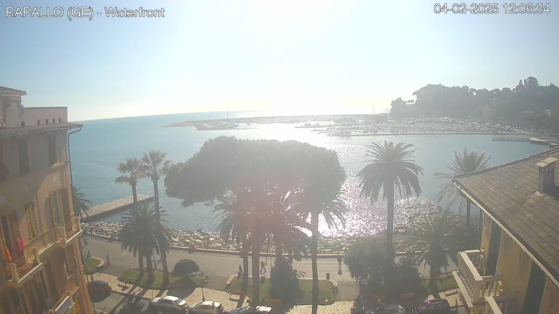 A hazy sunny day overlooks a harbor filled with boats, a waterfront promenade lined with palm trees, and buildings along the coast.