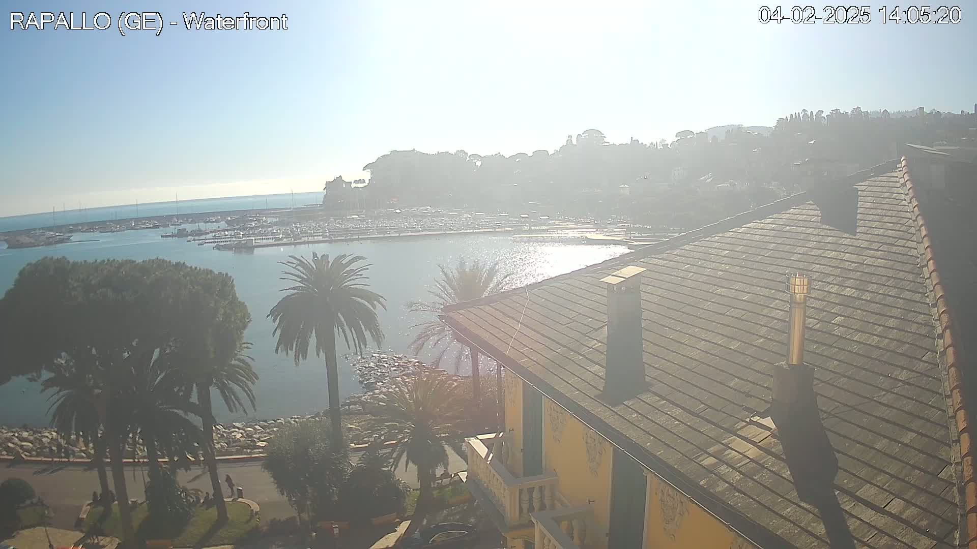 A hazy sunny day overlooks a harbor filled with boats, a town built on a hillside, and the roof of a building with palm trees in the foreground.