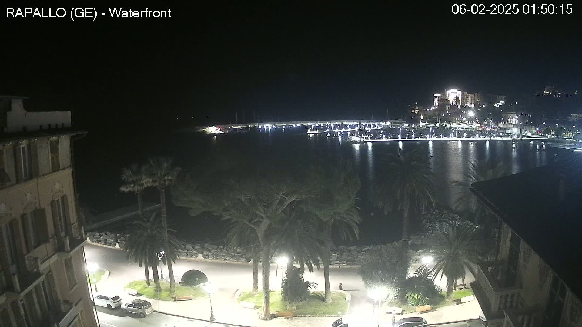 A nighttime view of a waterfront marina with calm water, palm trees lining a paved walkway, and buildings in the background.