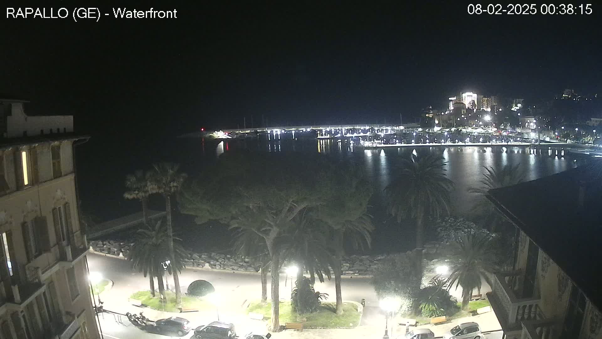 A nighttime view of a calm harbor with boats and buildings illuminated, palm trees lining a waterfront promenade.