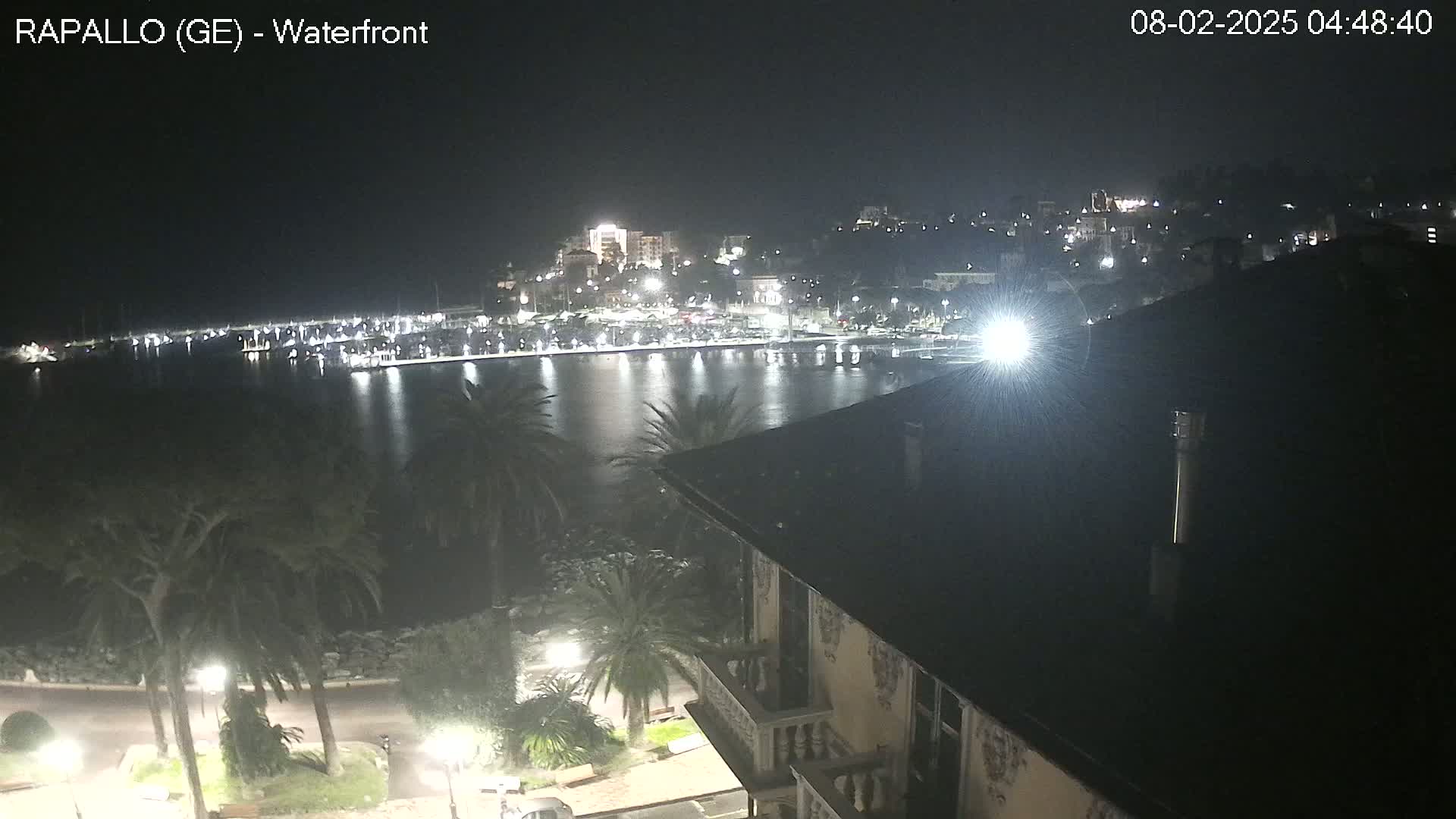 A nighttime view of a harbor filled with boats, a town lit up on a hill across the water, and palm trees lining a waterfront road in front of a building.