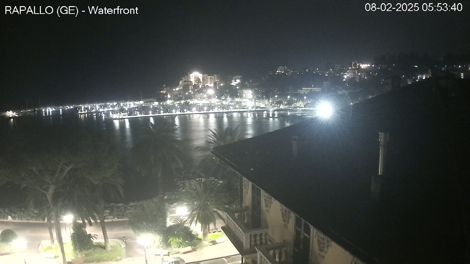 A nighttime view of a calm harbor filled with boats, a town illuminated with lights, and palm trees lining a waterfront promenade, seen from an elevated vantage point.