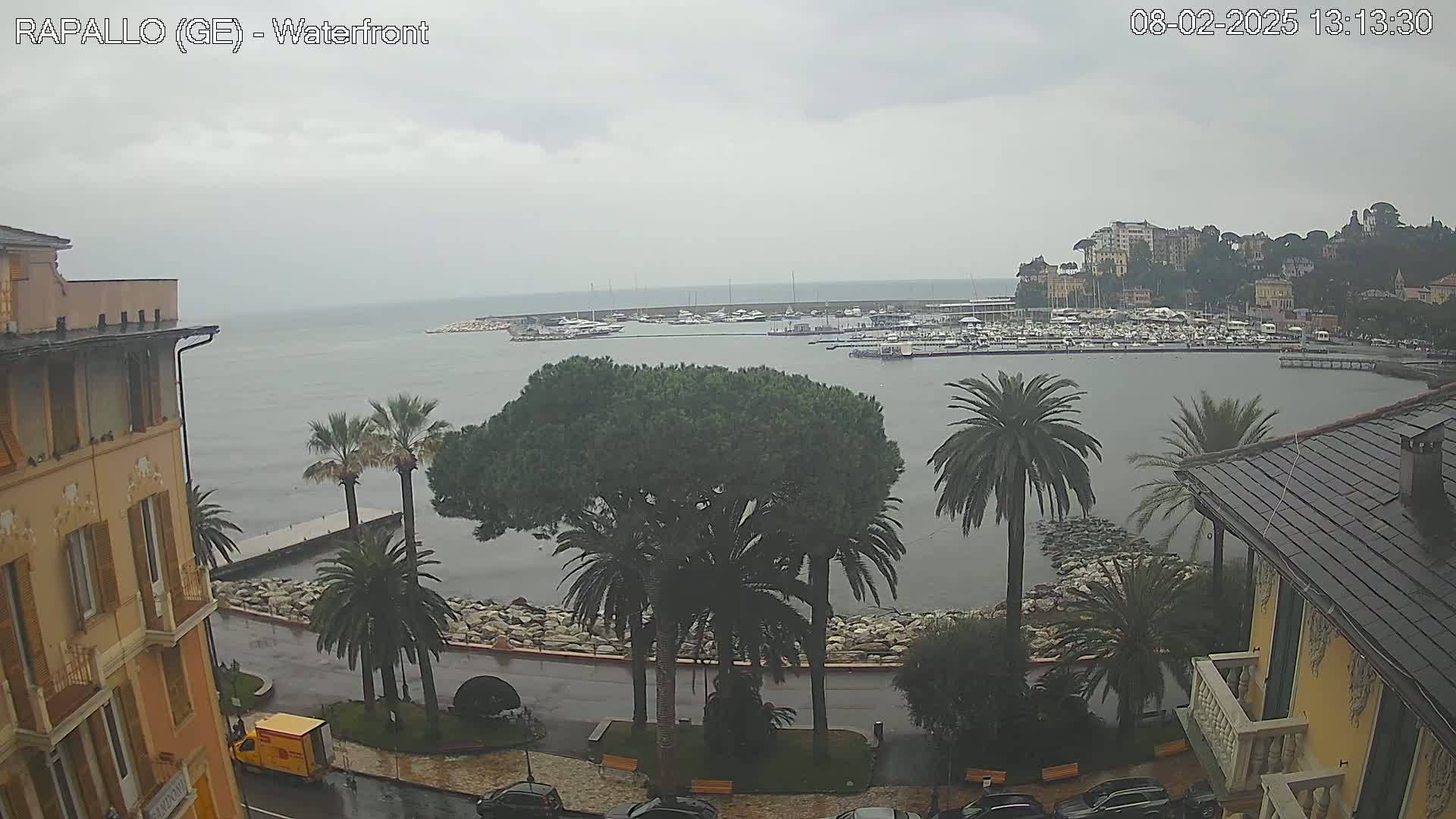 A rain-swept waterfront scene shows a harbor filled with boats, palm trees lining a wet roadway, and buildings on either side of the water.