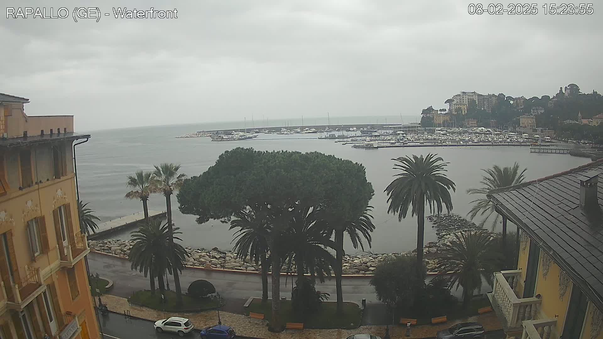 A waterfront view on an overcast day shows a harbor filled with boats, palm trees lining a paved walkway next to a calm body of water, and buildings nestled on a hillside.