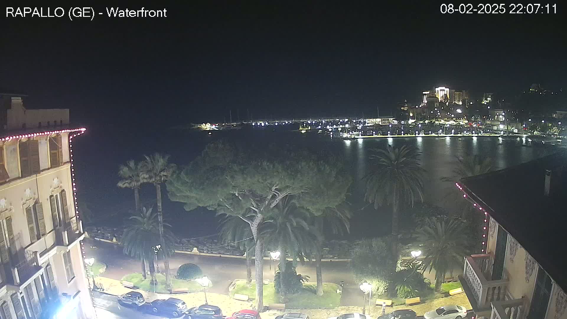 A nighttime view of a calm harbor filled with boats, surrounded by palm trees and buildings with string lights, under a clear, dark sky.