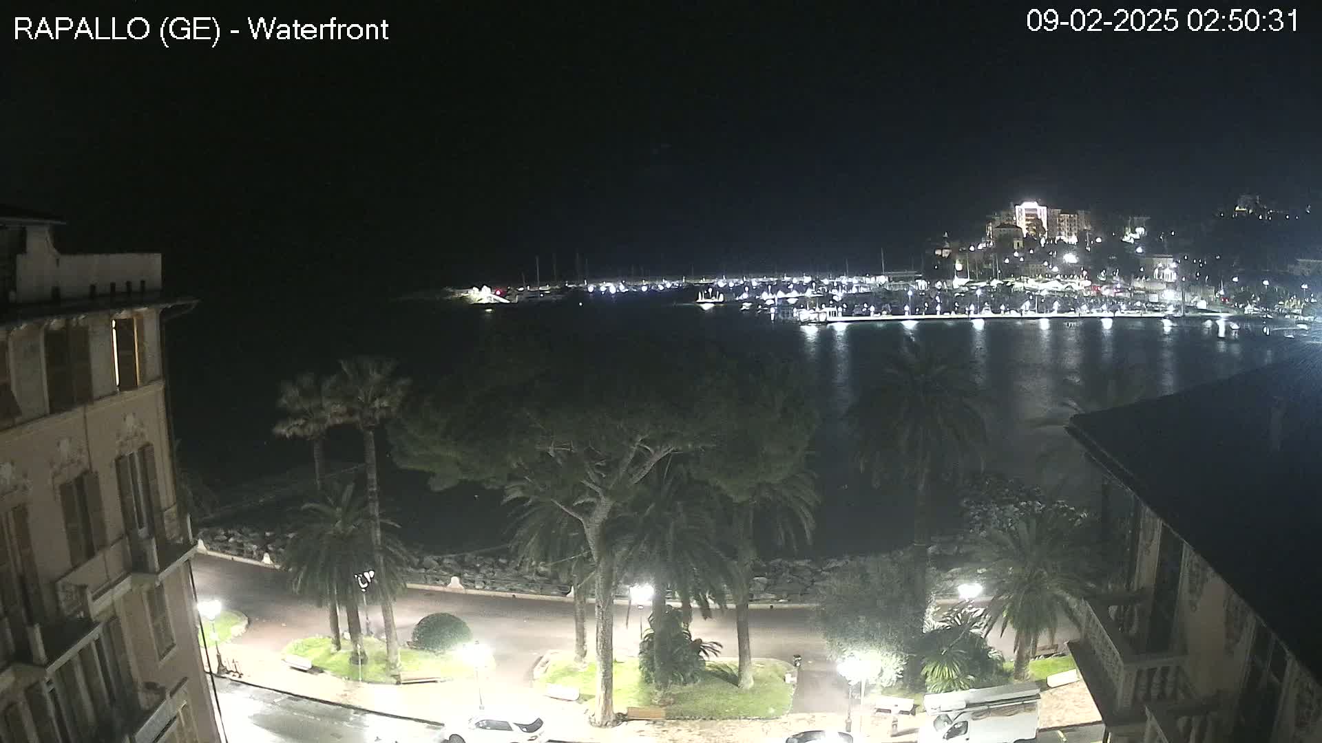 A nighttime view of a harbor filled with boats, a waterfront promenade lined with palm trees and buildings, all under a clear, dark sky.