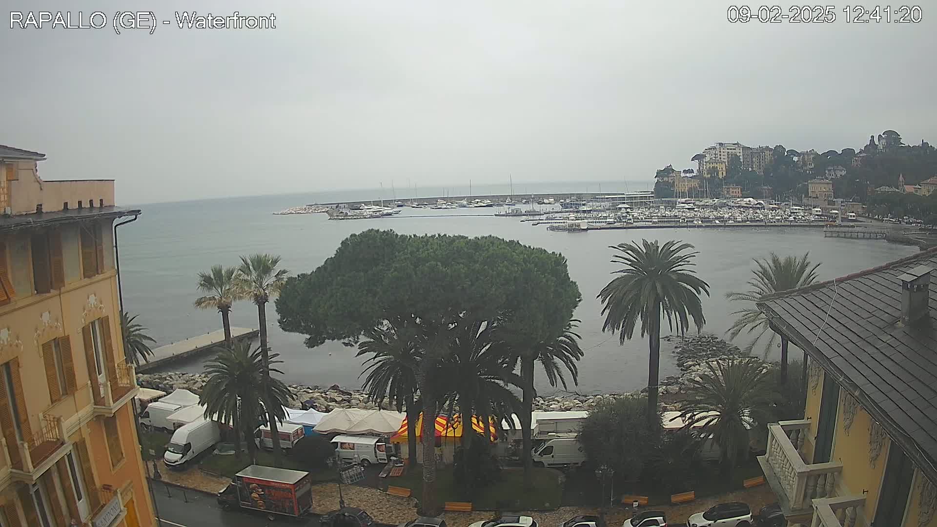 A waterfront view on an overcast day shows a harbor filled with boats, buildings lining the shore, palm trees, and a market set up along the water's edge.