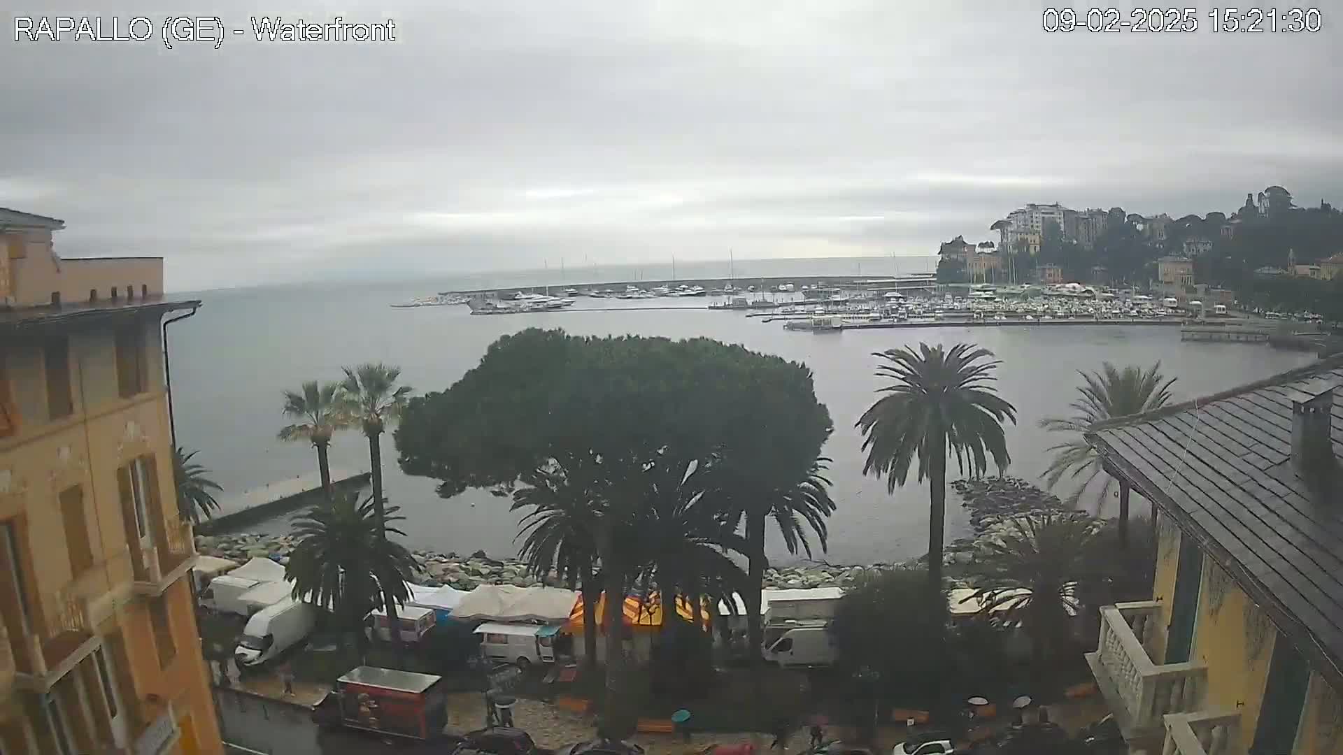 A waterfront view shows a harbor filled with boats under an overcast sky, palm trees lining the shore next to buildings and a market.