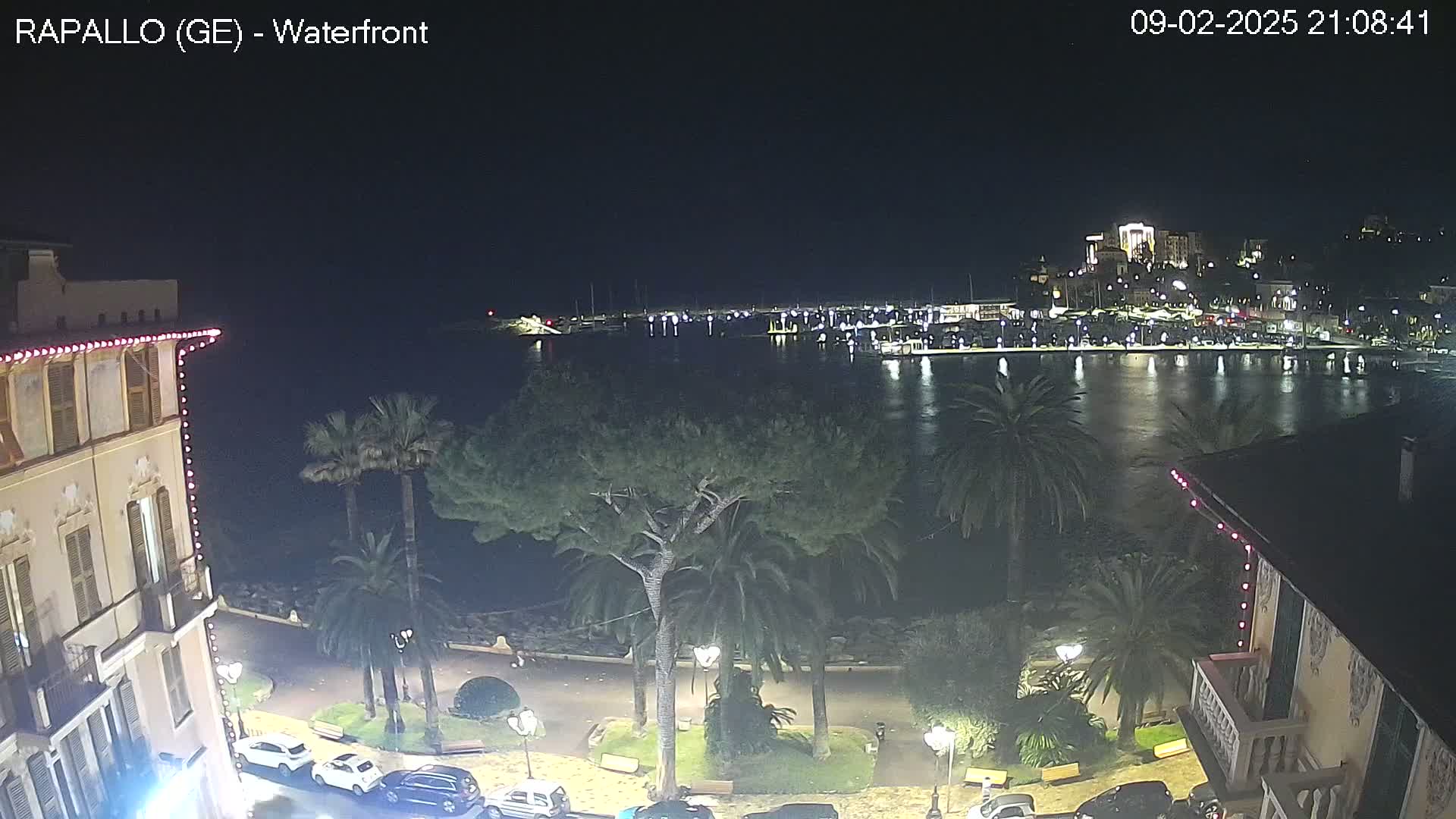 A nighttime view of a waterfront harbor filled with boats, with palm trees and buildings lining a paved walkway.