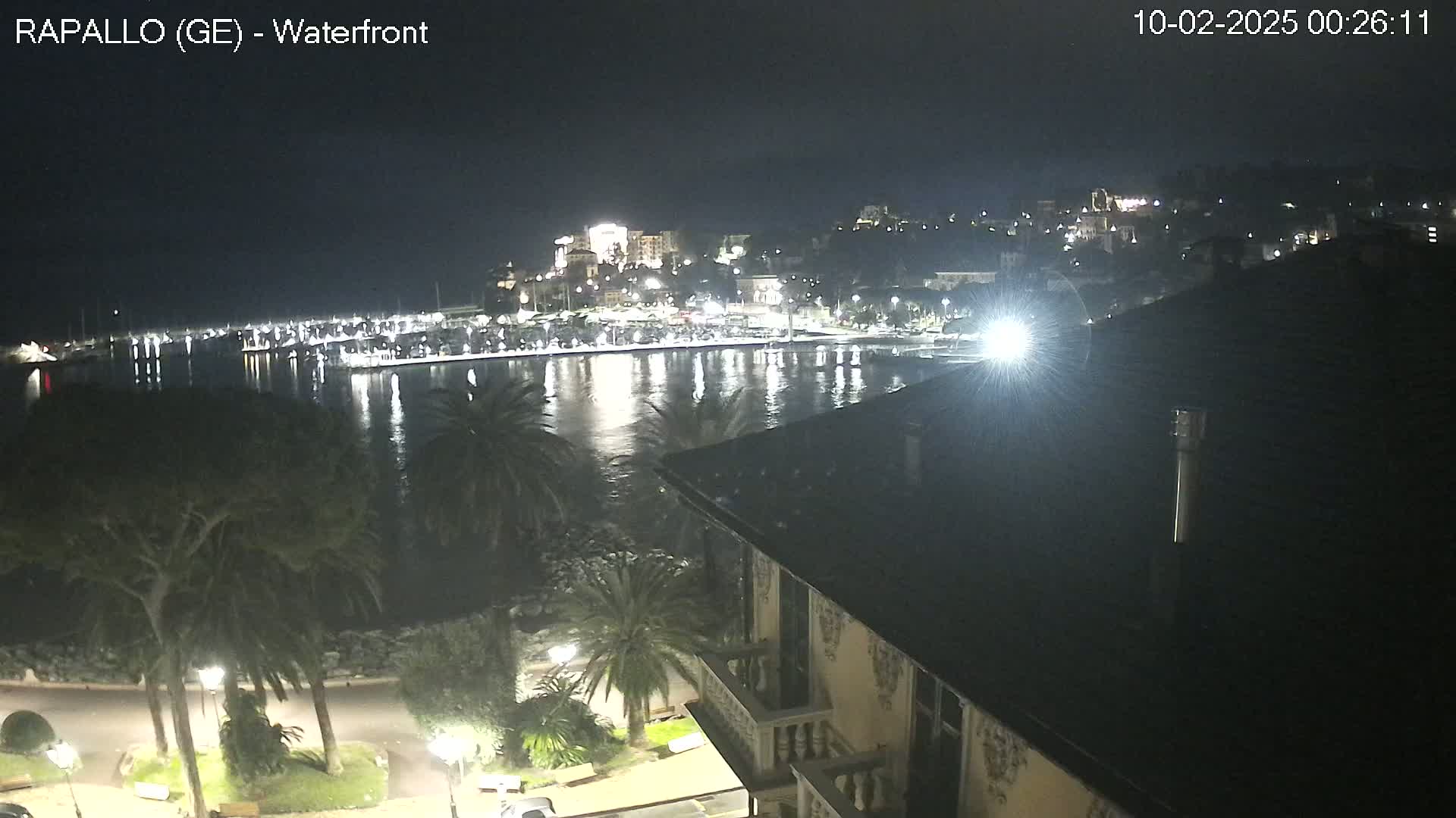 A nighttime view of a calm harbor, illuminated city buildings on a hillside, and palm trees lining a waterfront promenade.