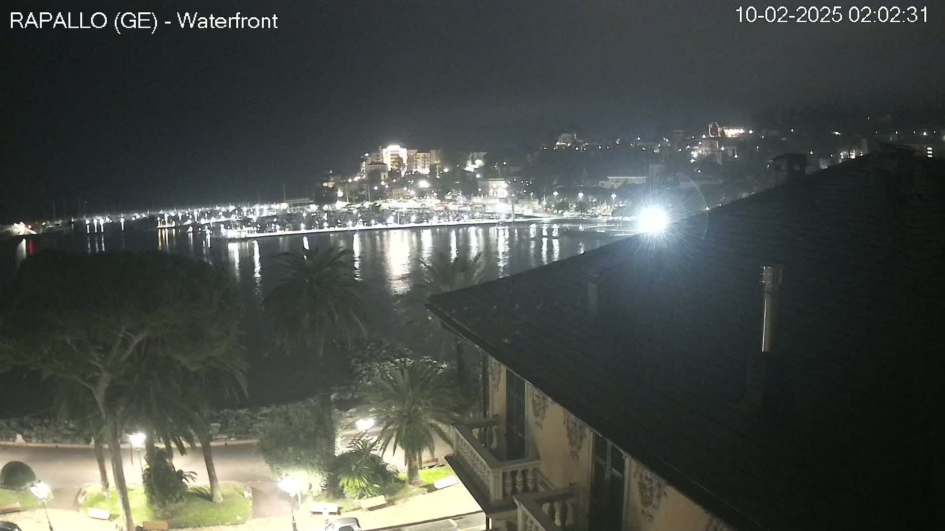 A nighttime view of a harbor filled with boats, a town illuminated with lights, and palm trees lining a waterfront path, all under a dark sky.
