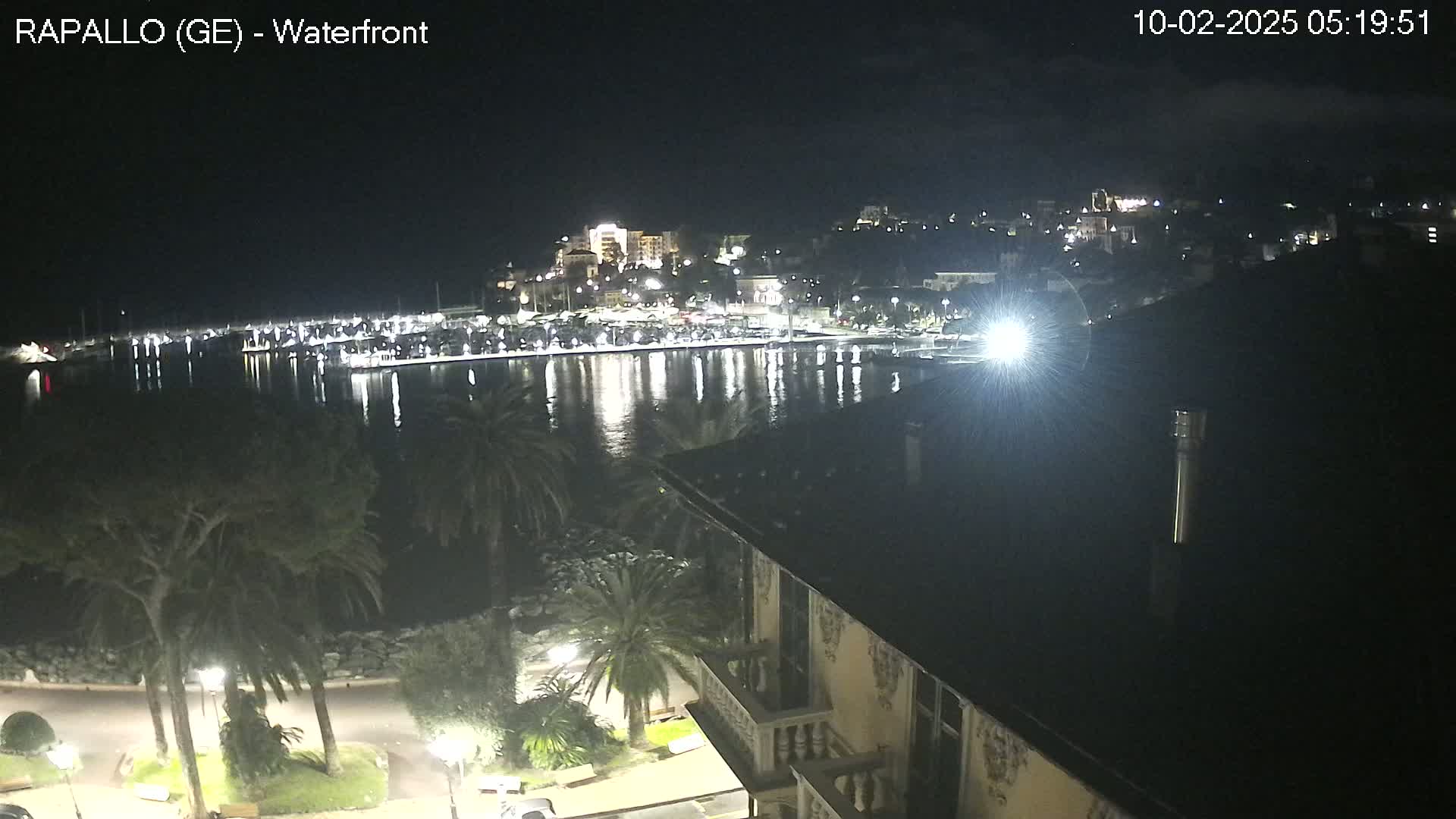 A nighttime view of a calm harbor, reflecting the lights of a town nestled on a hillside, seen from a vantage point above the waterfront, with palm trees lining the shore.