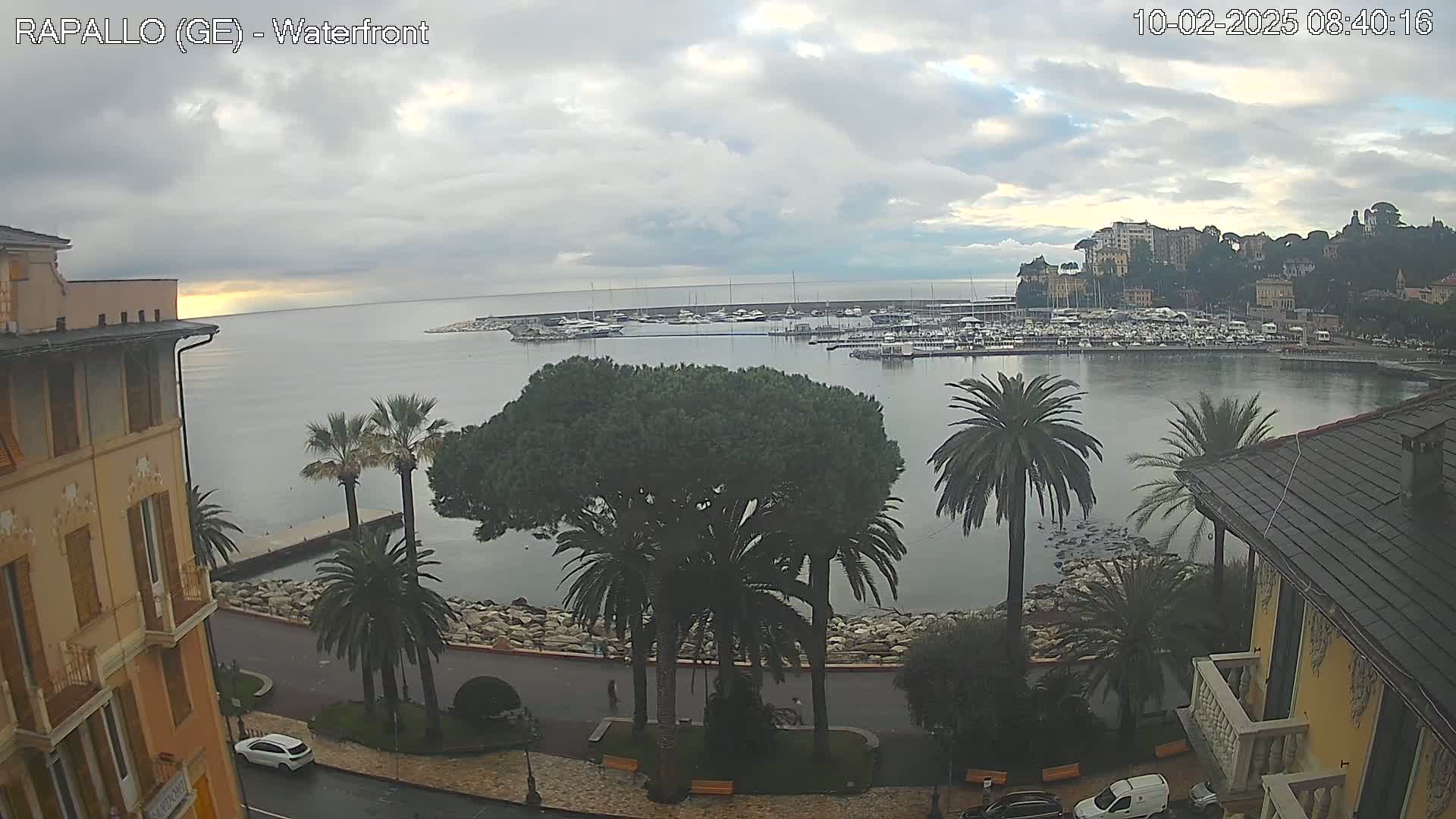 A waterfront view shows a calm harbor filled with boats, surrounded by palm trees and buildings under a cloudy sky.