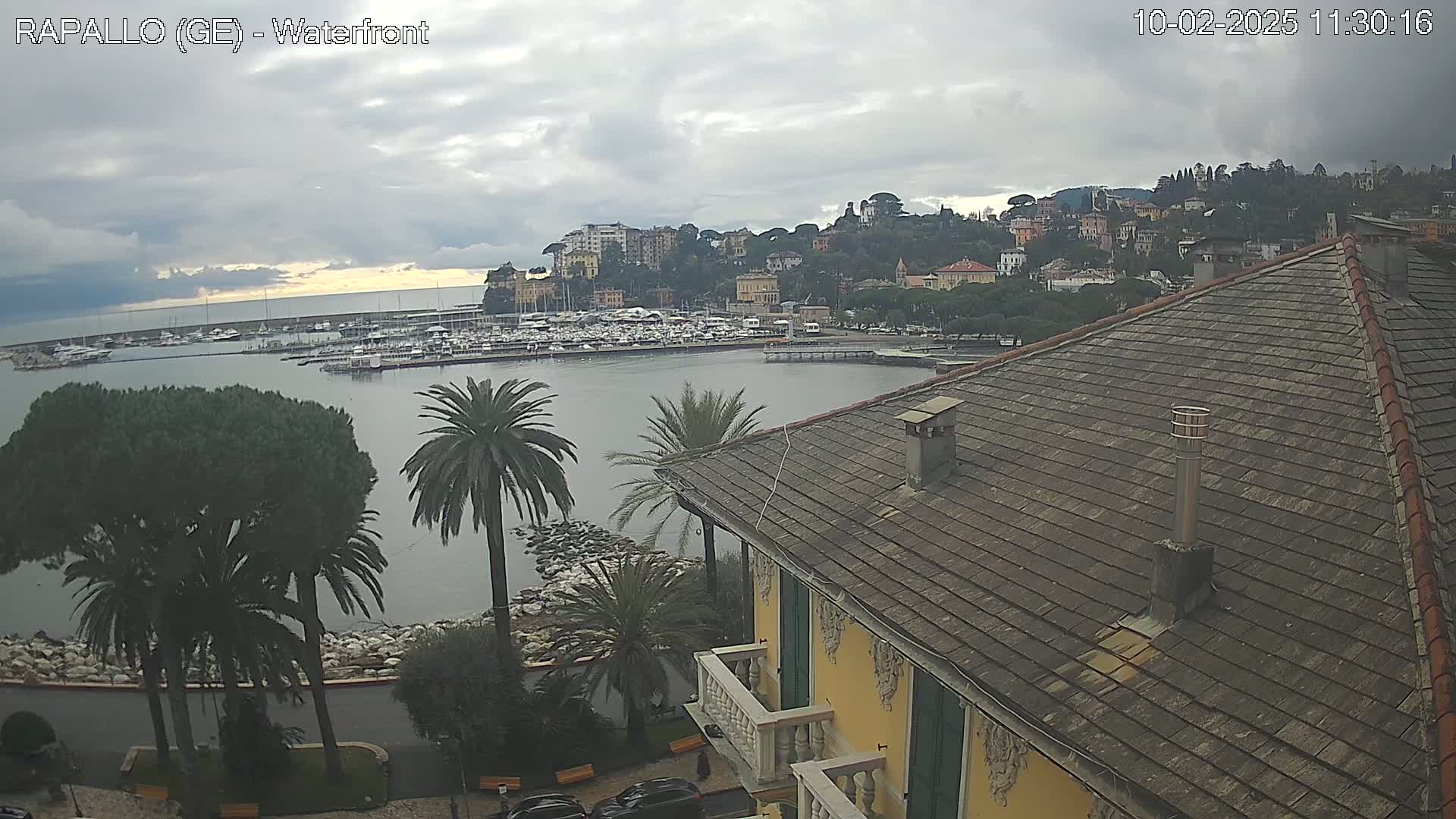 A view from a building's rooftop shows a harbor filled with boats, a town nestled on a hillside, and palm trees along a waterfront under an overcast sky.