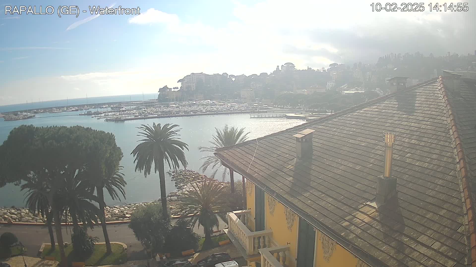 A hazy view from a rooftop shows a harbor filled with boats, a town nestled on a hillside, and palm trees along the waterfront.