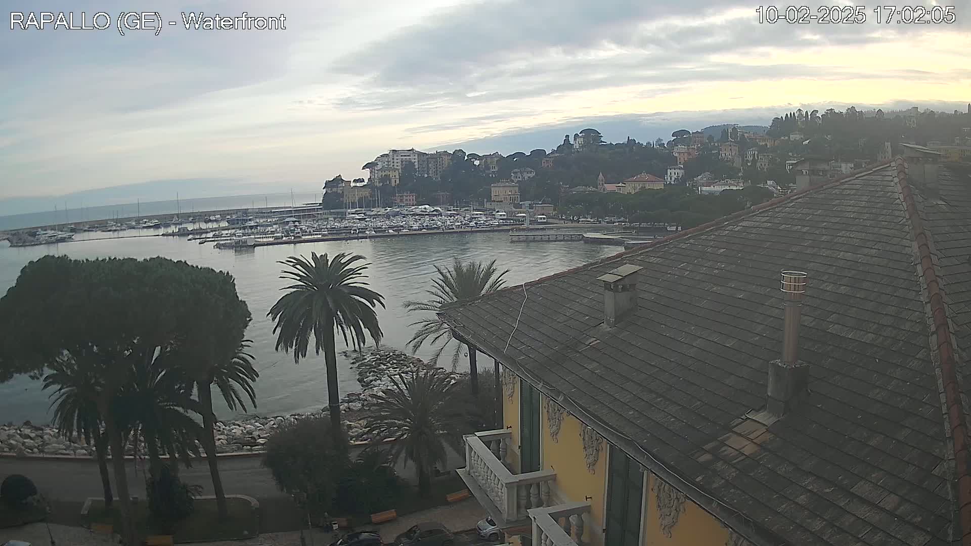 A waterfront view of a town with a harbor filled with boats, under an overcast sky, seen from a rooftop with palm trees in the foreground.