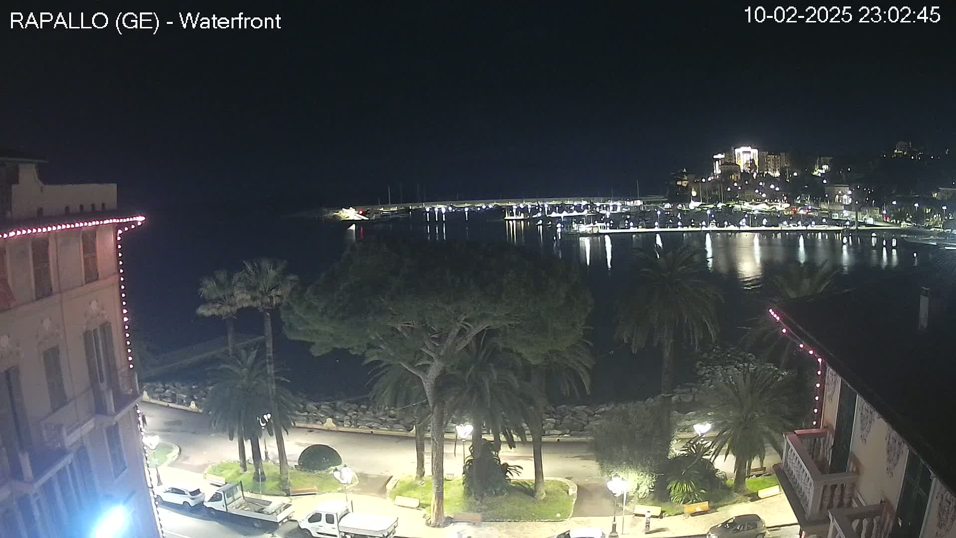 A nighttime view of a waterfront town with palm trees lining a paved walkway next to a calm body of water reflecting the lights of moored boats and buildings.