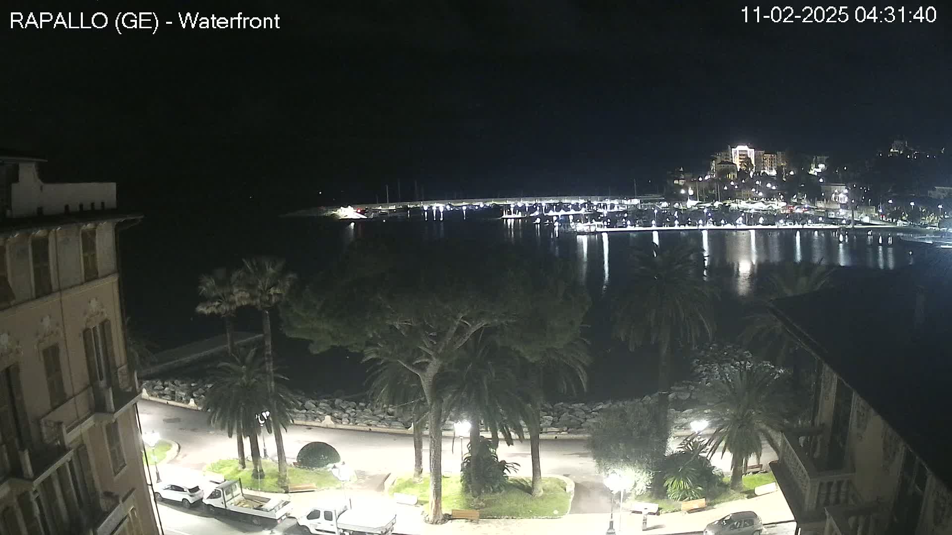 A nighttime view of a calm harbor filled with boats, bordered by a waterfront promenade lined with palm trees and buildings, under a clear, dark sky.