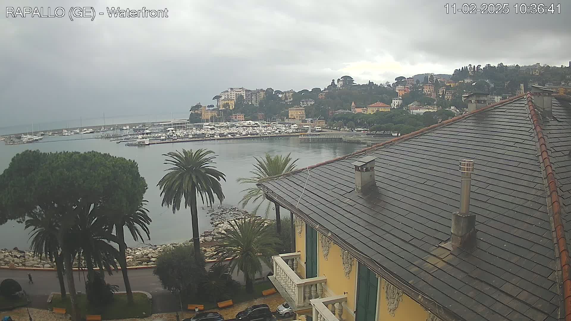 A waterfront view on an overcast day shows a harbor filled with boats, a hillside town, and a portion of a building with a dark-tiled roof.
