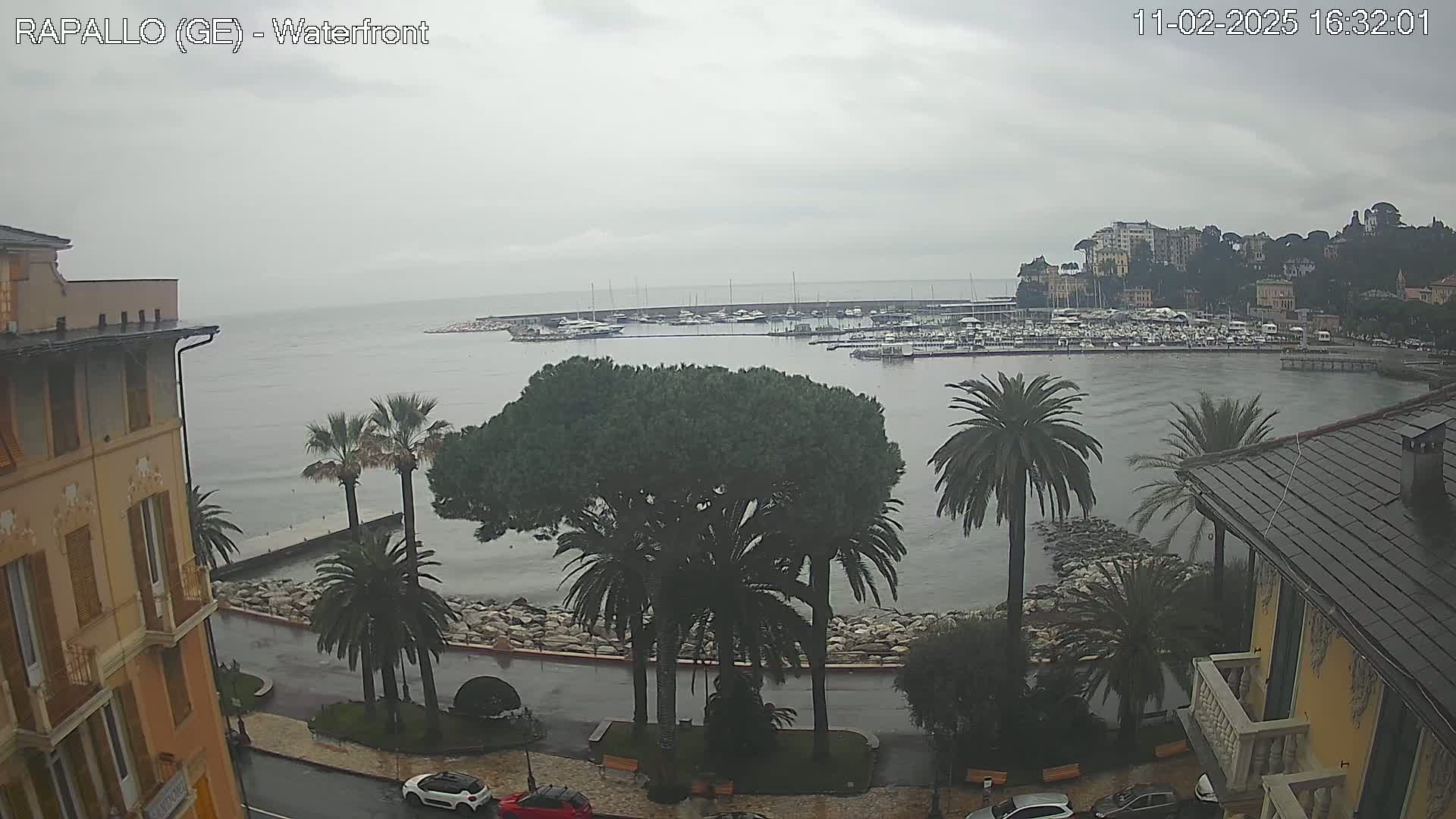 A waterfront view on a cloudy day shows a harbor filled with boats, palm trees lining a roadway, and buildings on either side of the road.
