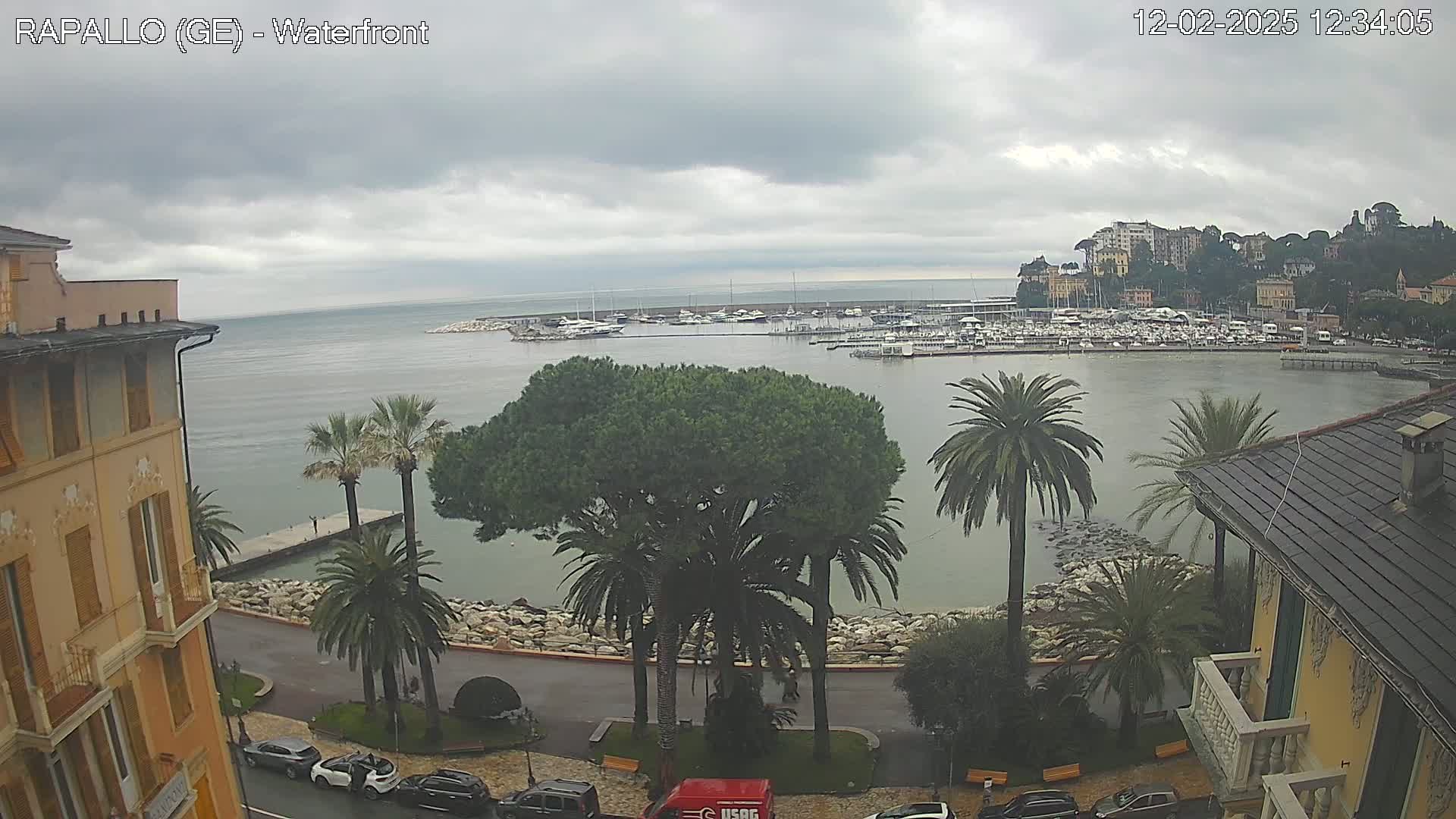 A waterfront view on an overcast day shows a calm harbor filled with boats, palm trees lining a stone walkway, and buildings along the shore.