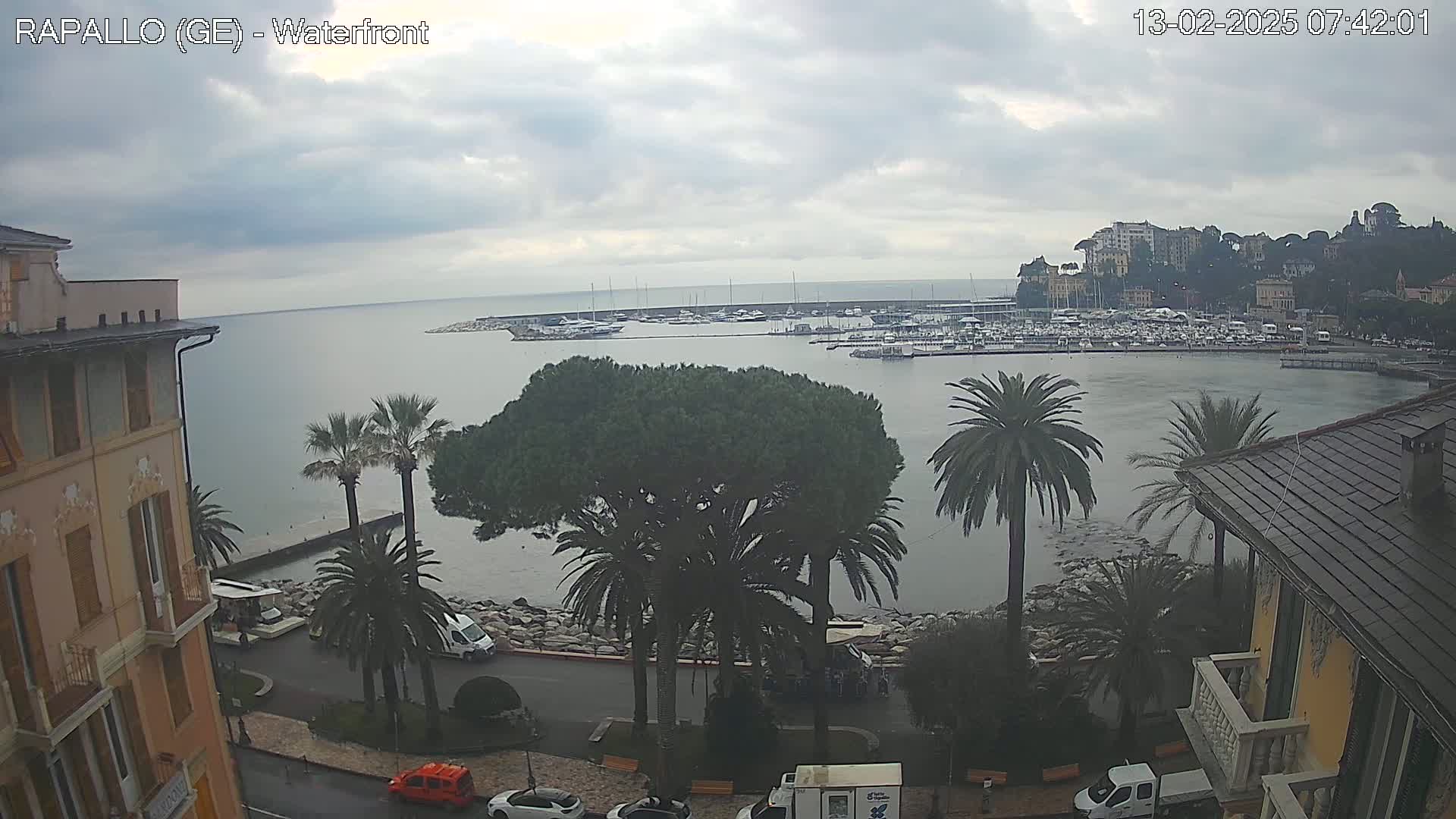 A waterfront view on an overcast day shows a harbor filled with boats, palm trees lining a roadway, and buildings along the shore.