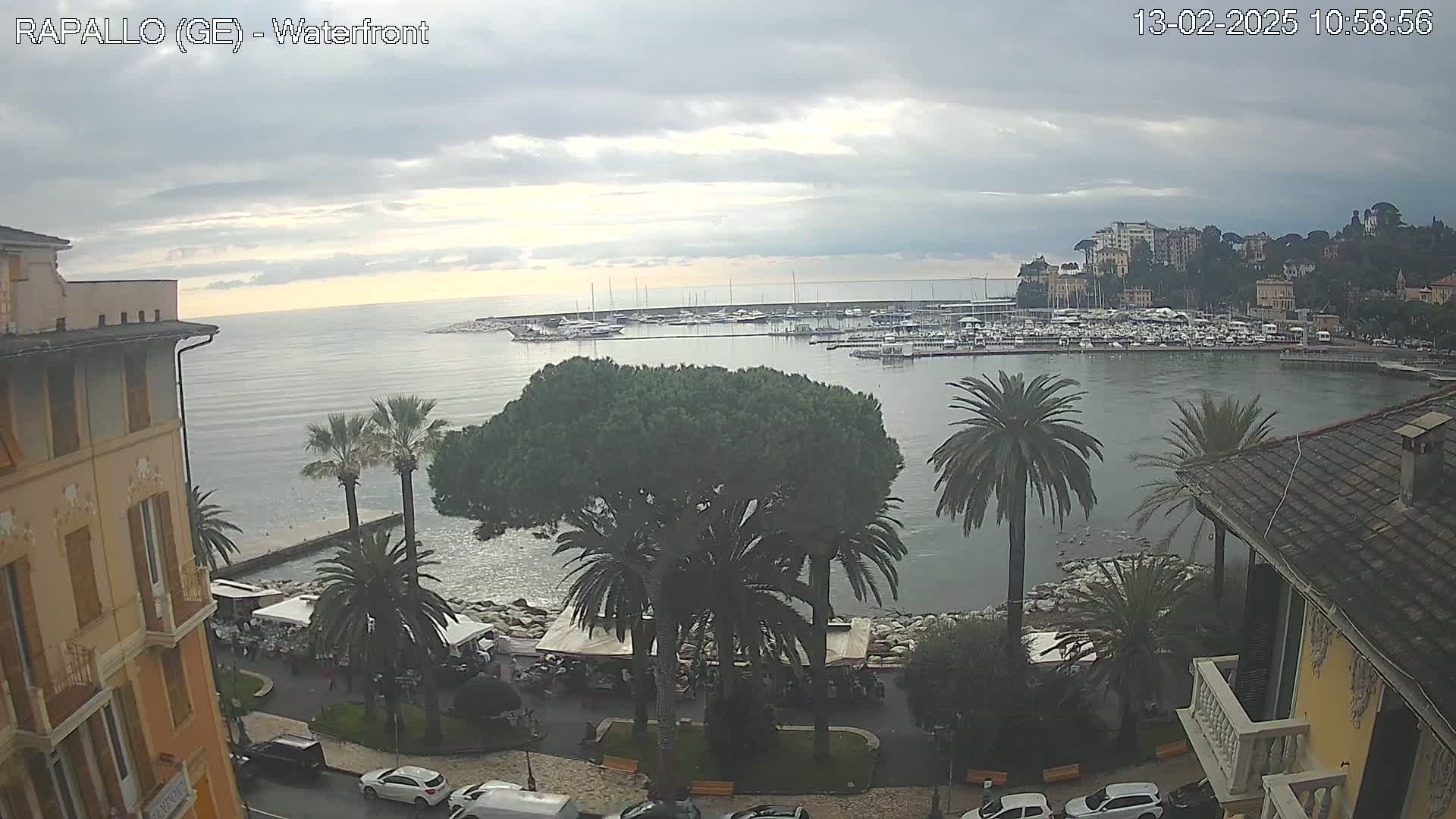 A waterfront view on an overcast day shows a harbor filled with boats, palm trees lining a paved walkway, and buildings rising along the shore.