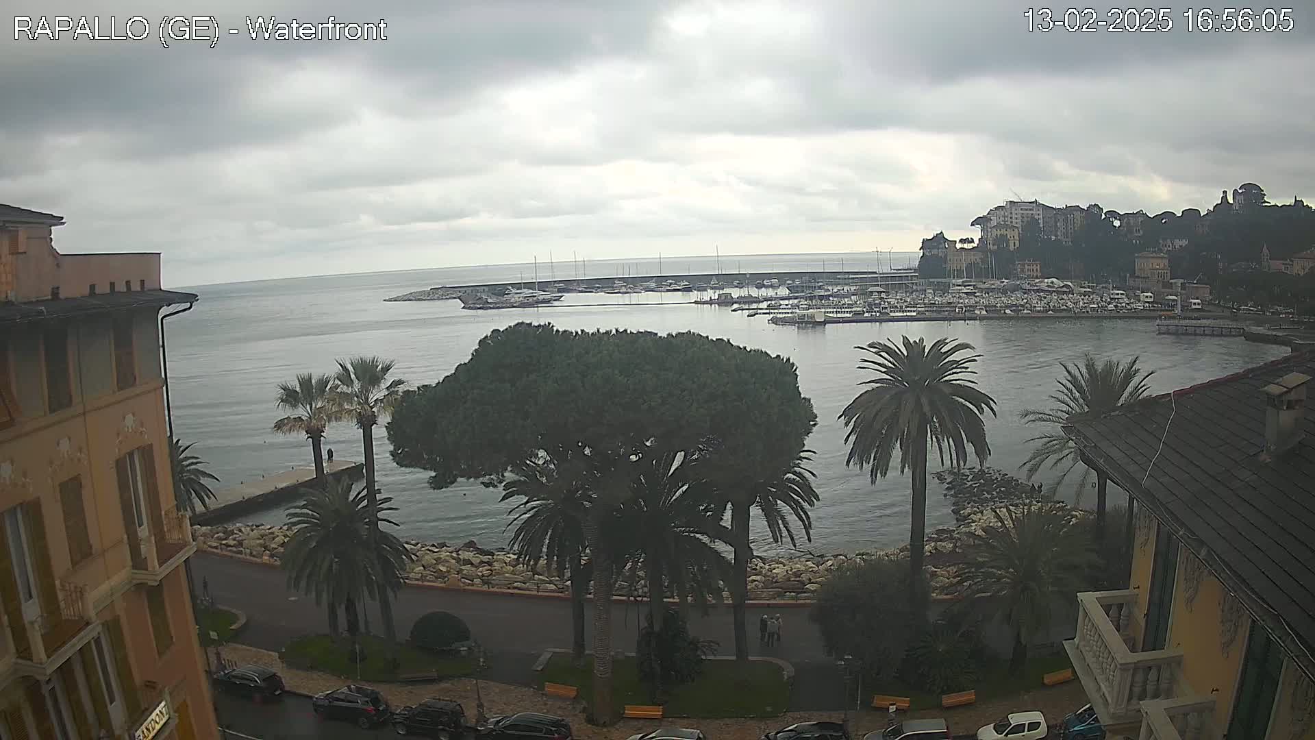An overcast day reveals a waterfront scene with a calm sea, a harbor filled with boats, palm trees lining a seaside road, and buildings on a hill overlooking the water.