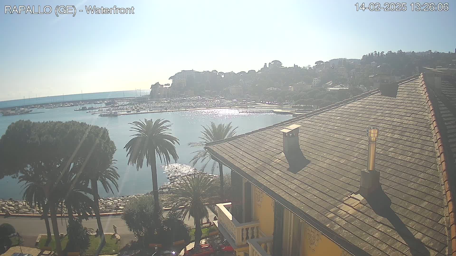A sunny waterfront view shows a harbor filled with boats, a town rising on a hillside, and palm trees lining a seawall, all seen from a rooftop.