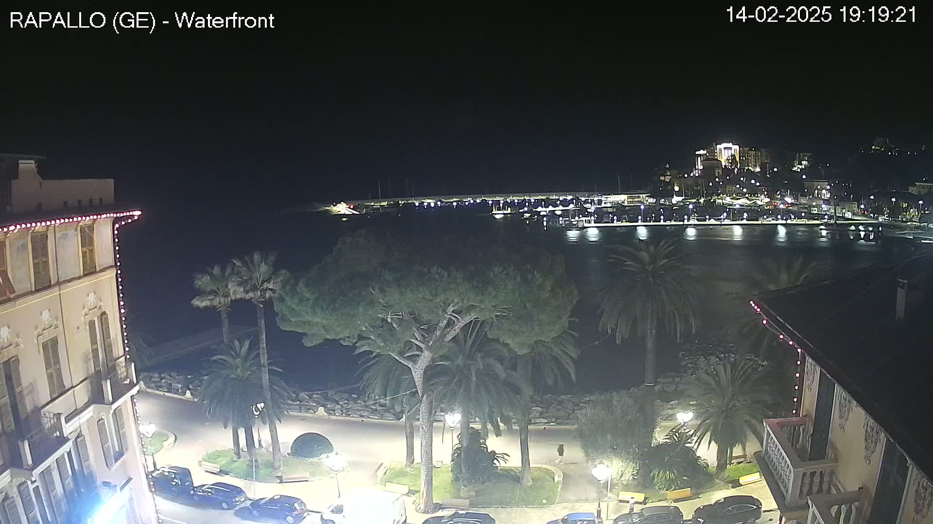 A nighttime view of a waterfront town with palm trees, buildings, a harbor filled with boats, and calm water under a clear, dark sky.