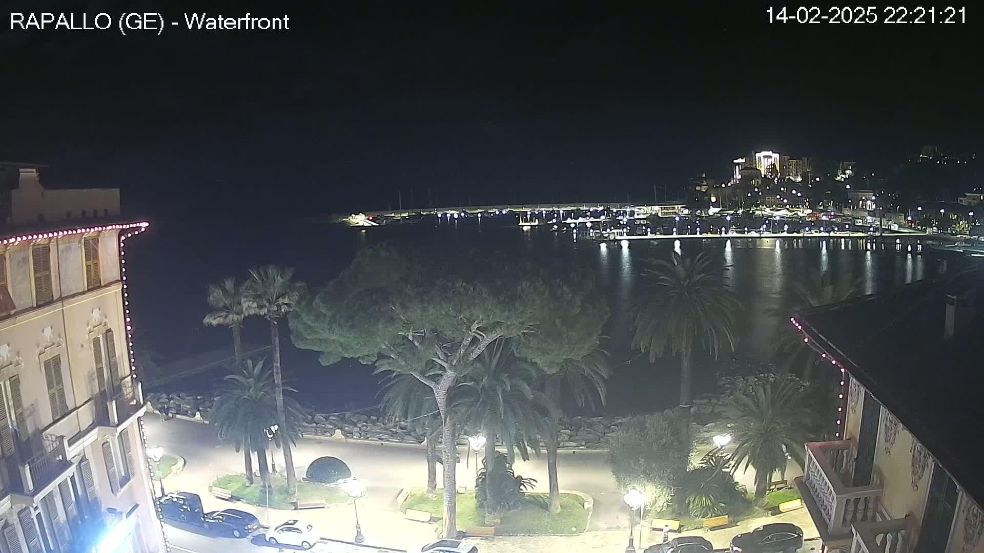 A nighttime view of a waterfront town with palm trees, a calm harbor filled with boats, and buildings lit up along the shoreline.