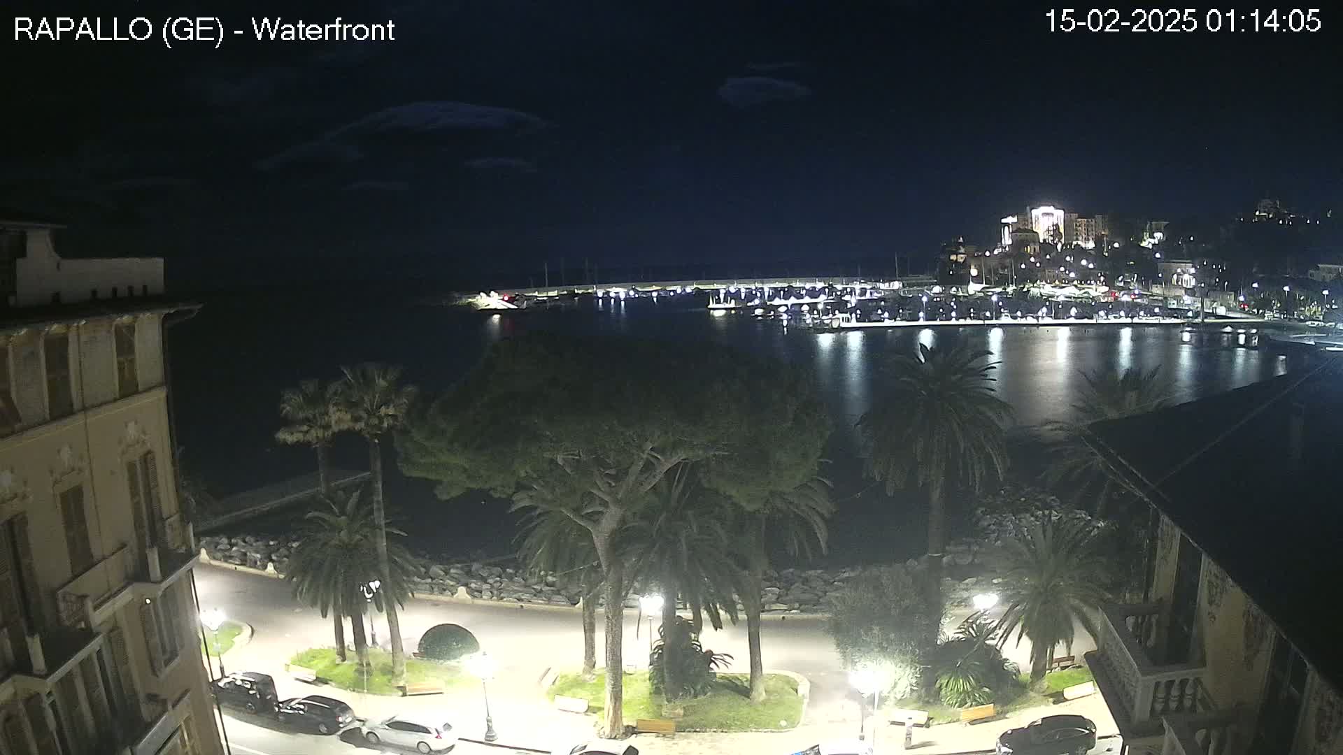 A nighttime waterfront view shows a calm harbor with boats, palm trees lining a paved walkway, and buildings illuminated along the shore under a partly cloudy sky.