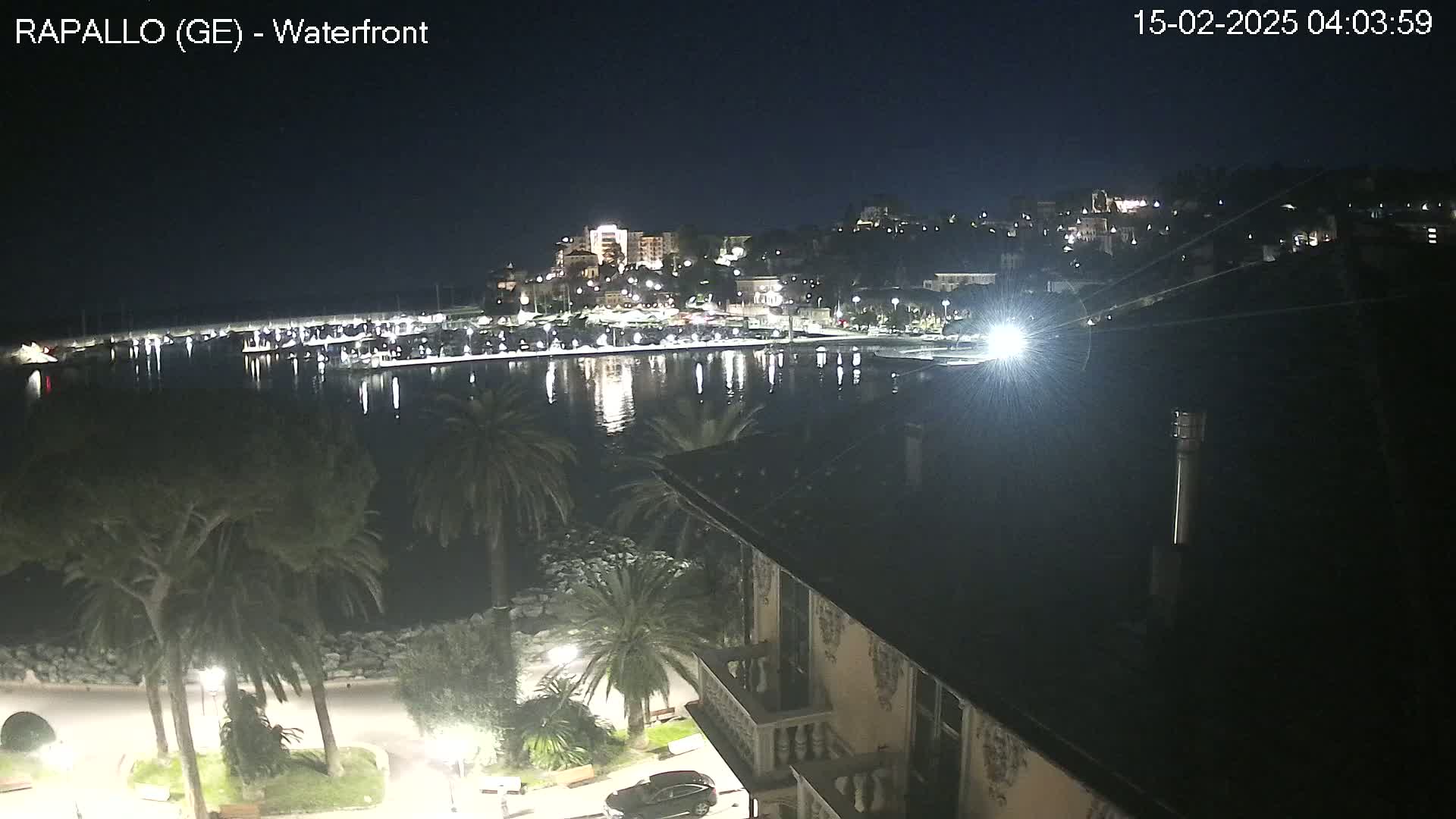 A nighttime view of a harbor town's waterfront, with palm trees lining a walkway and buildings illuminated on a hill overlooking calm water.