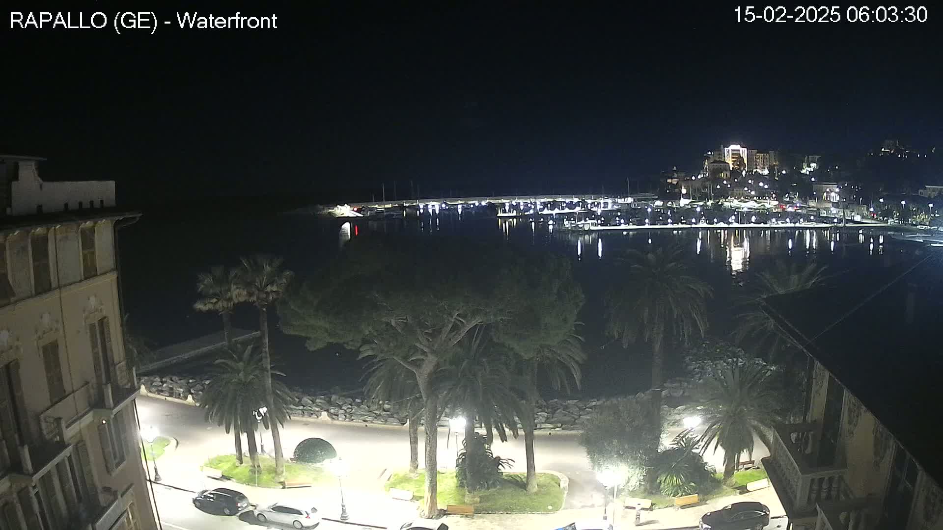 A nighttime view of a calm harbor with boats reflecting light, palm trees lining a waterfront promenade, and buildings illuminated along the shoreline.