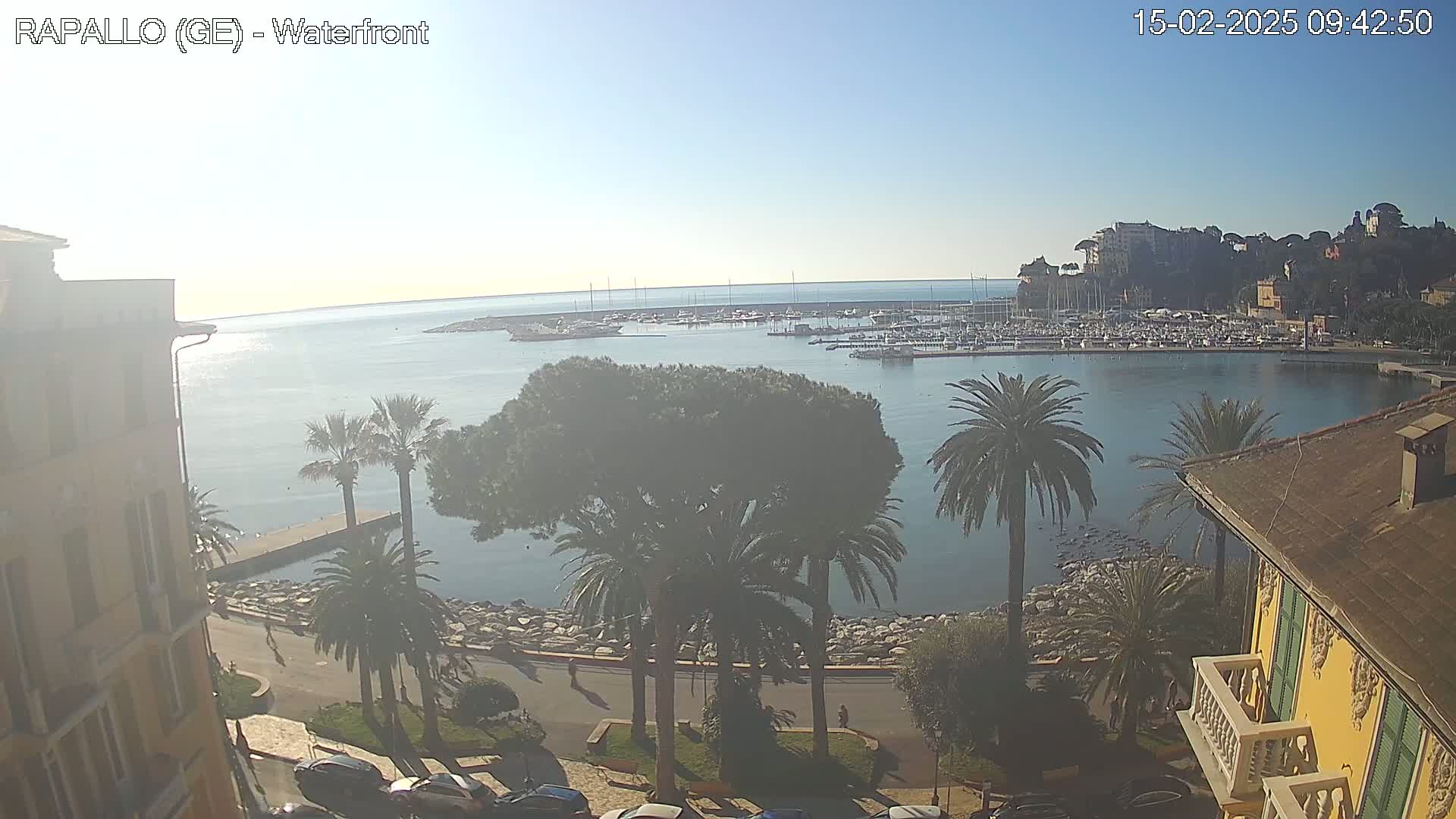 A waterfront view on a clear, sunny day shows a calm harbor filled with boats, palm trees lining a paved walkway, and buildings with yellow stucco walls.