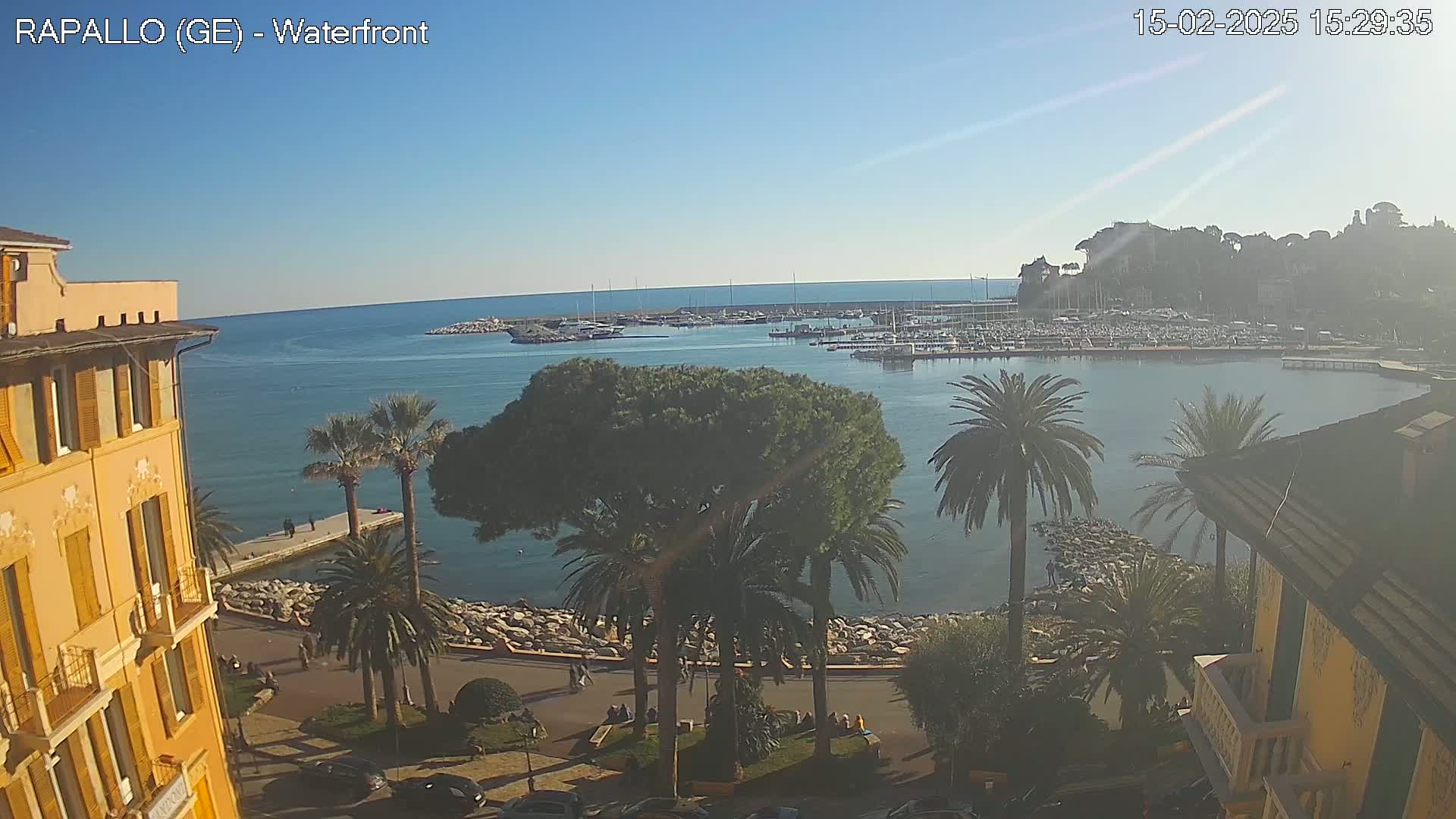 A sunny waterfront view shows a calm harbor filled with boats, palm trees lining a promenade, and yellow buildings along the shoreline.