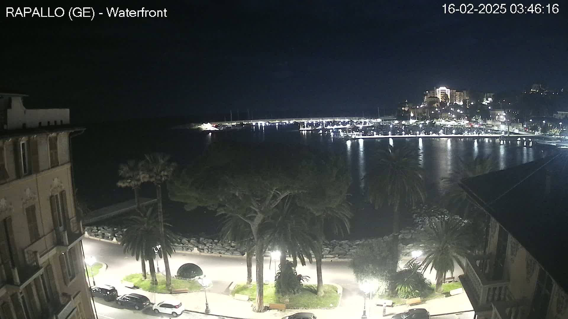 A nighttime view of a calm harbor, lined with boats and buildings, overlooked by palm trees and streetlights along a waterfront promenade.