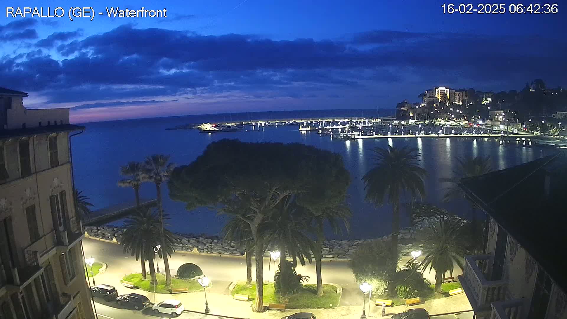 A nighttime view of a harbor filled with boats, a waterfront promenade lined with palm trees and streetlights, and a town rising on a hill in the background under a twilight sky.
