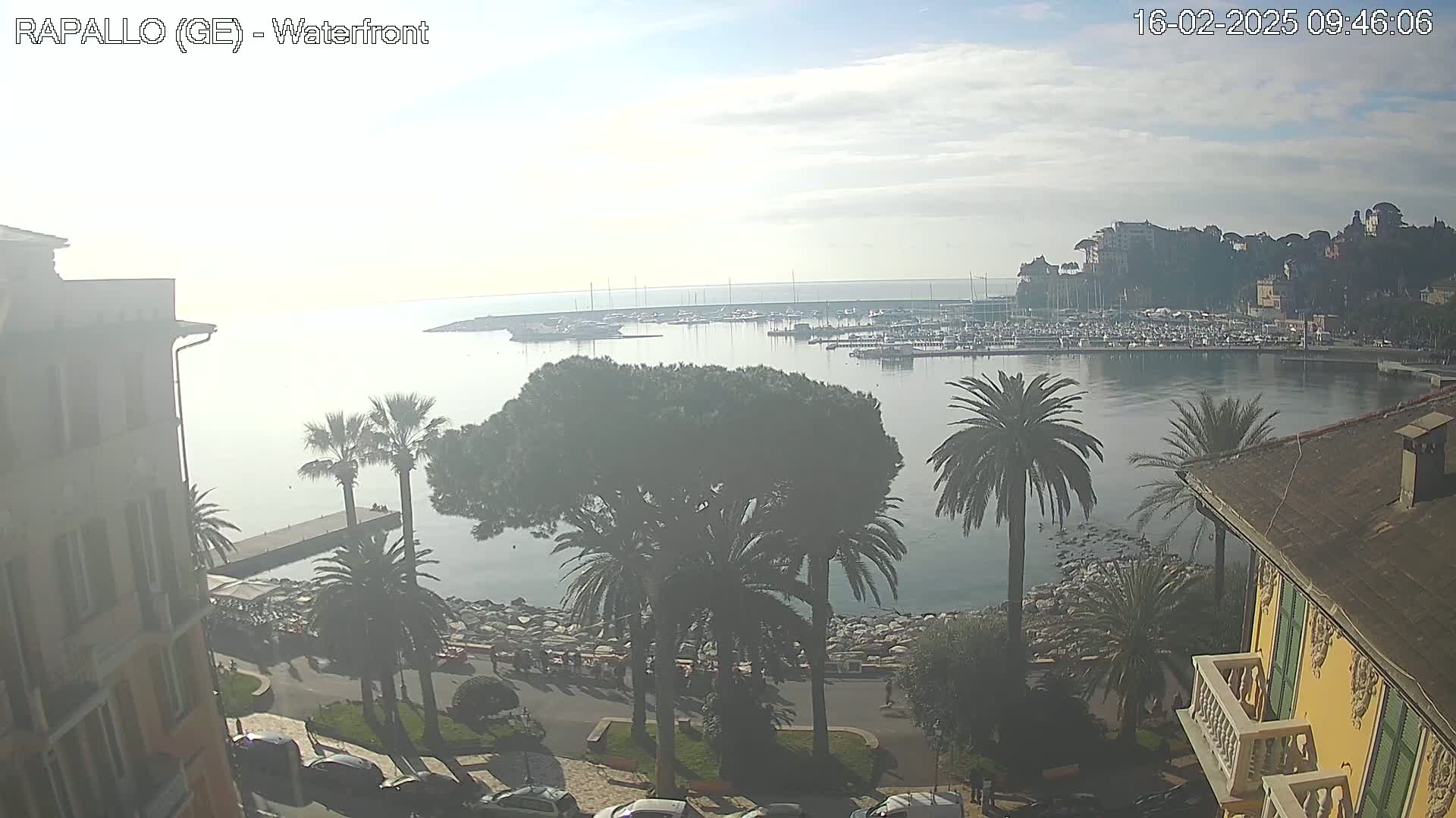 A hazy waterfront scene shows a harbor filled with boats, palm trees lining a stone-paved walkway, and buildings rising along the shore on a slightly cloudy day.