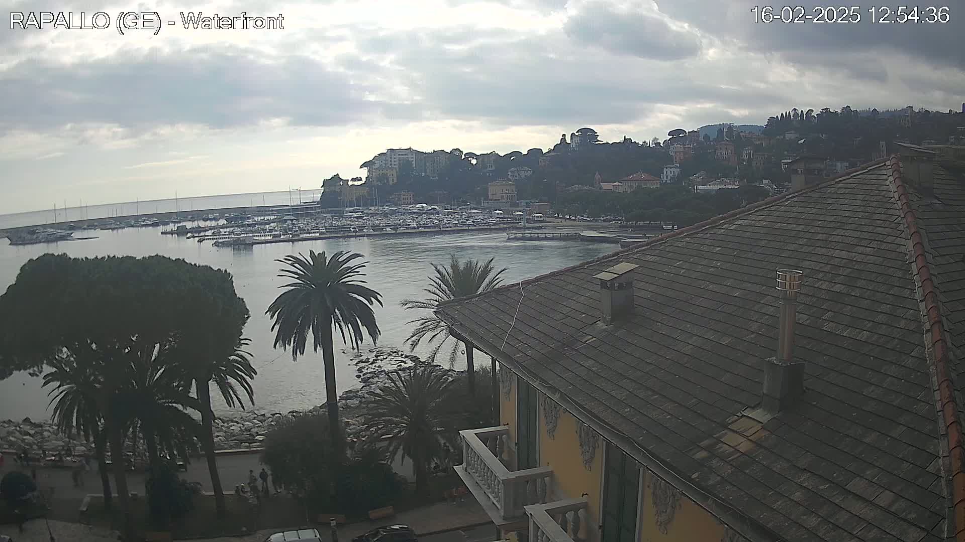 A harbor filled with boats is viewed from an elevated position on an overcast day, with palm trees and a building's roof in the foreground.