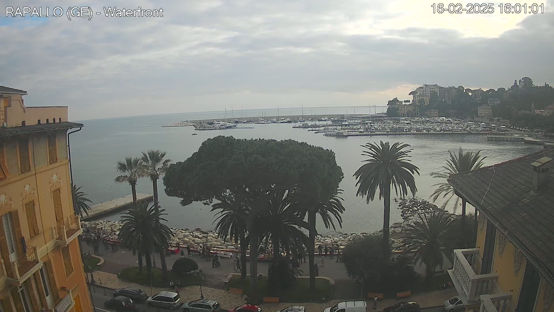 A waterfront view on an overcast day shows a harbor filled with boats, palm trees lining a stone embankment, and buildings along a coastal road.