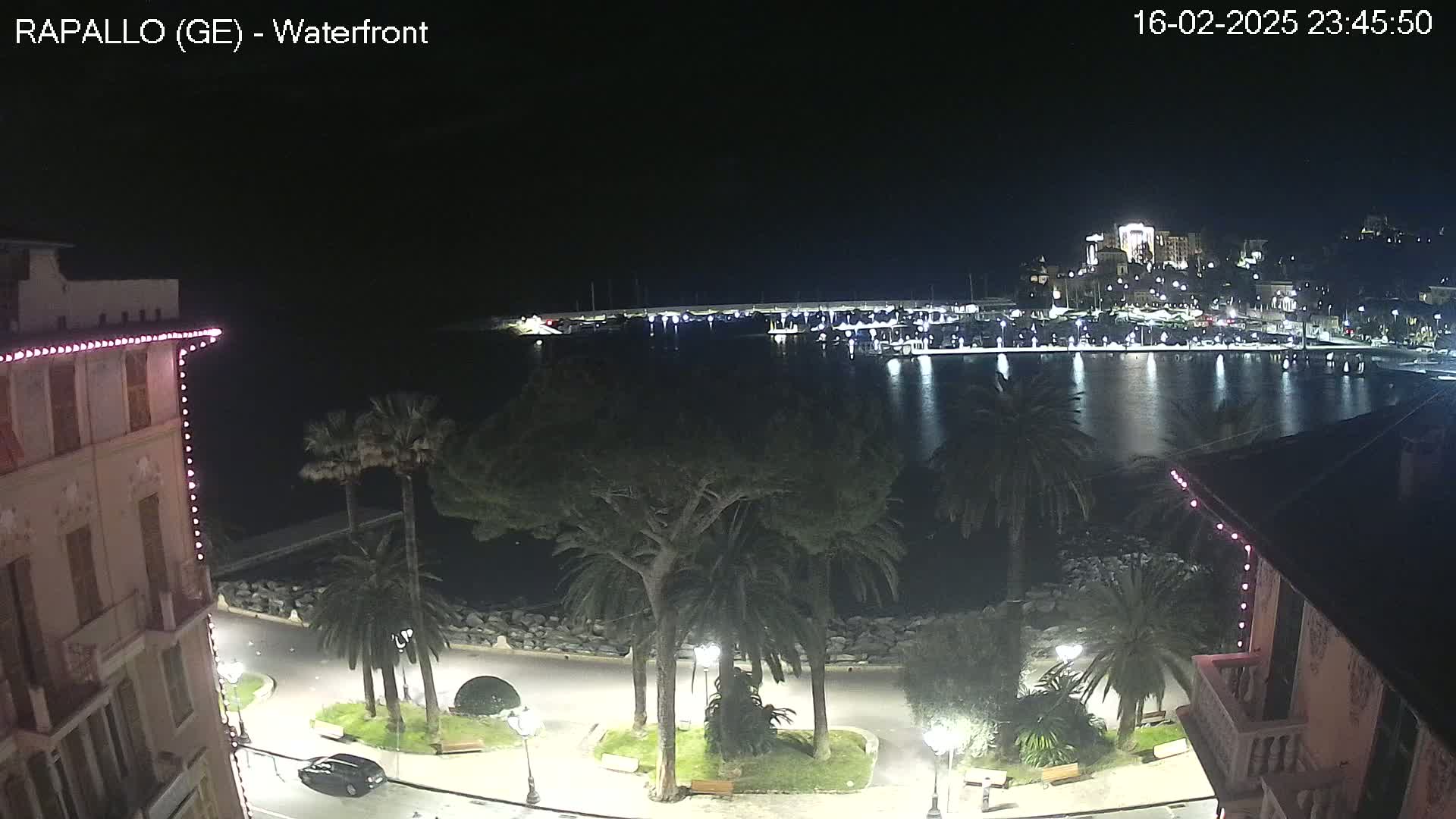 A nighttime view of a waterfront harbor with calm water, lined with palm trees and buildings, under a clear, dark sky.