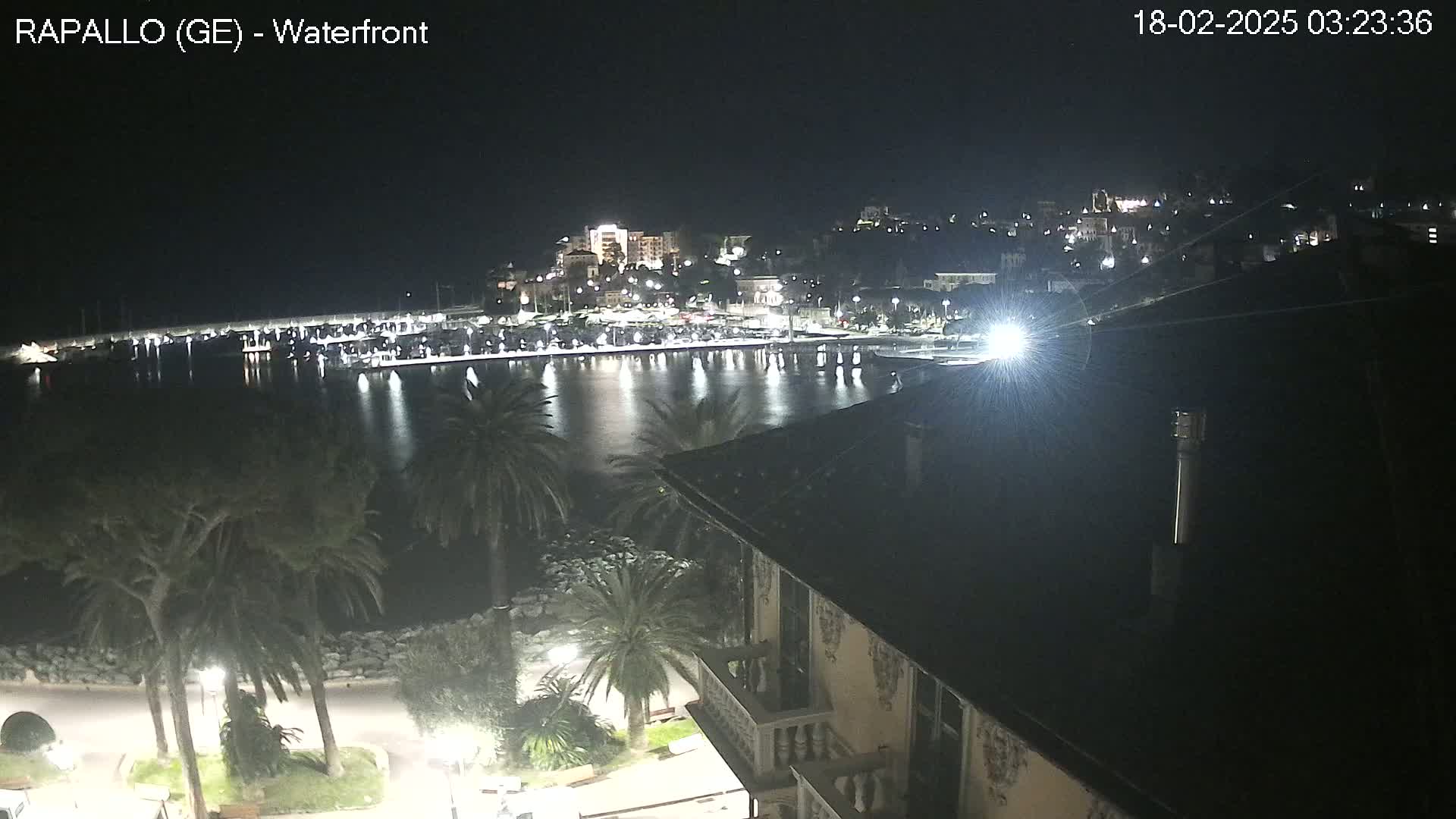 A nighttime view of a harbor with boats, a waterfront town illuminated by lights, and palm trees lining a walkway, all under a clear, dark sky.