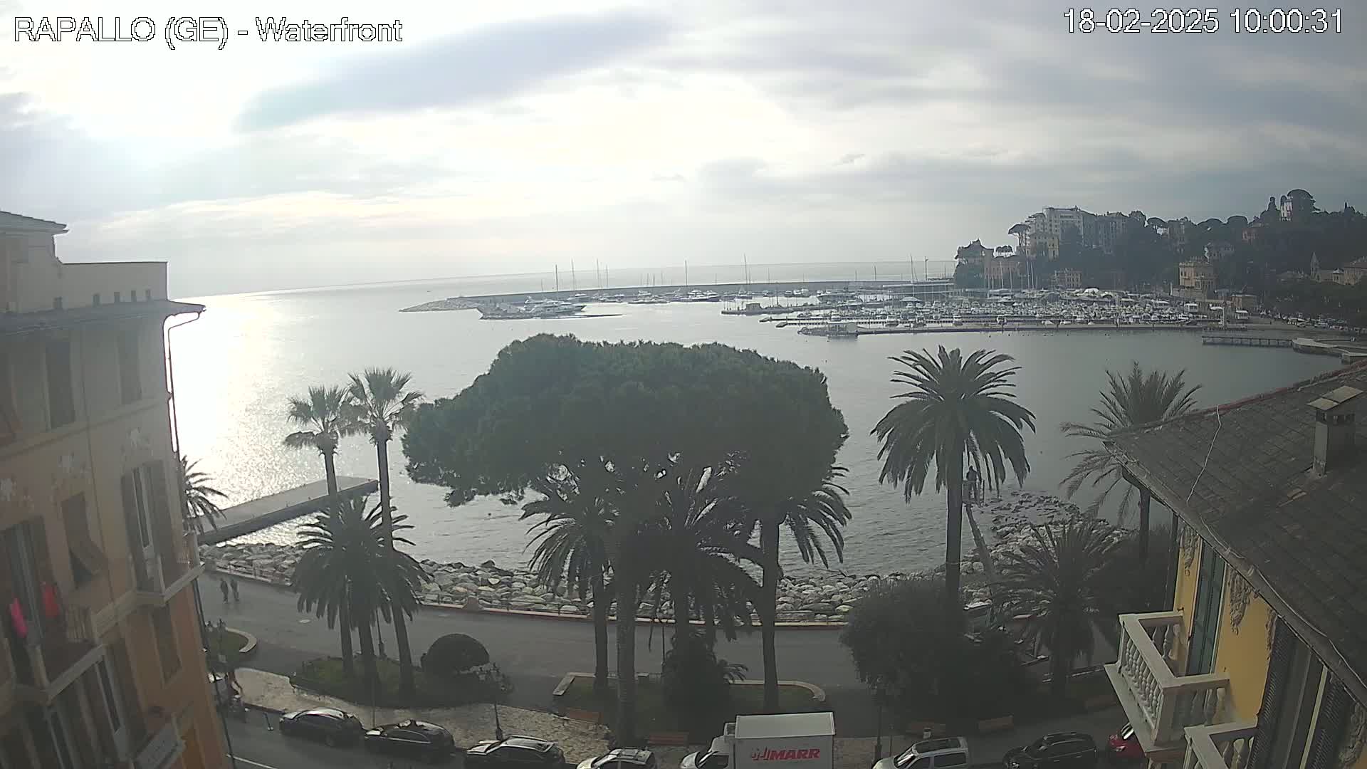 A waterfront view shows a harbor filled with boats under an overcast sky, with palm trees and buildings lining a curved roadway.