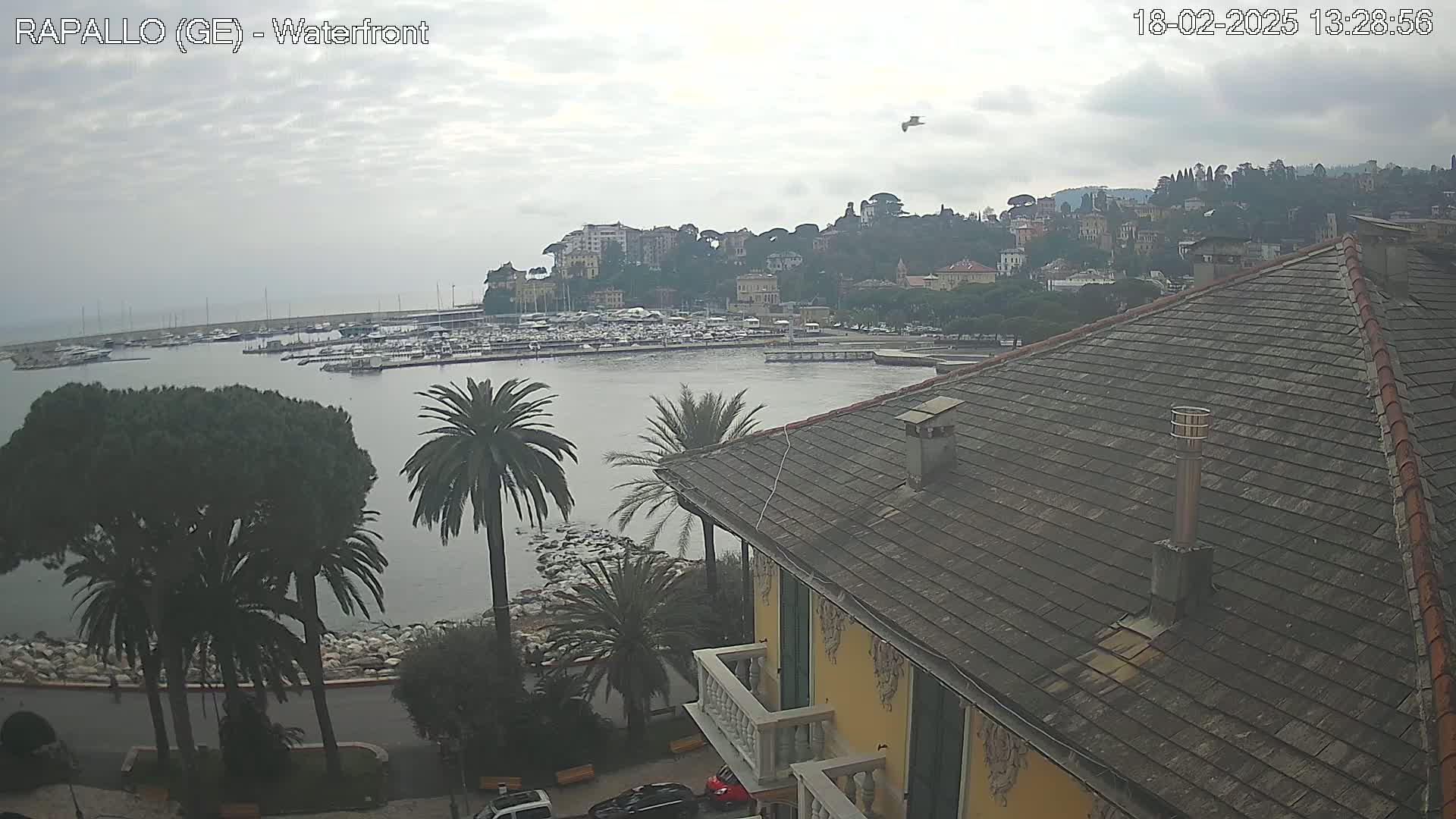 A waterfront view of a town nestled on a hillside, with a harbor full of boats under an overcast sky, seen from a building's rooftop.